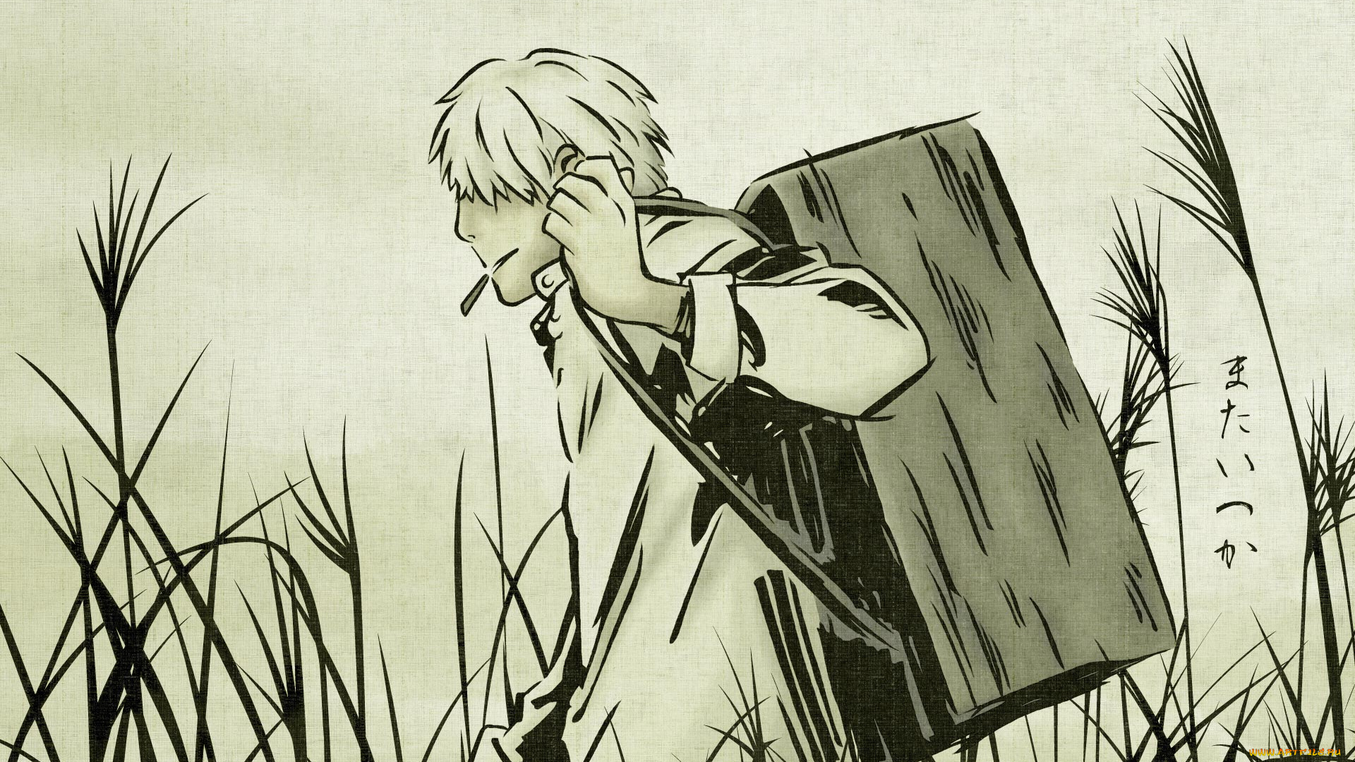 аниме, mushishi, ginko