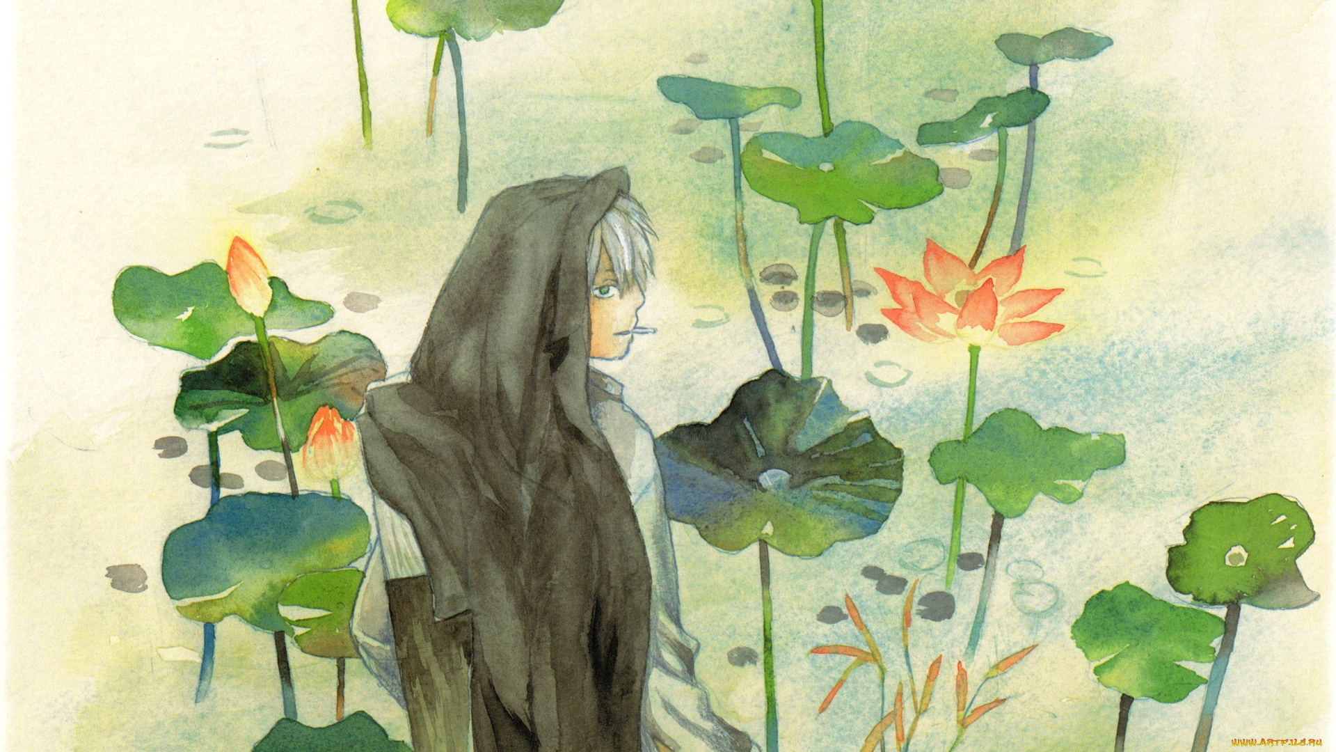 аниме, mushishi, ginko