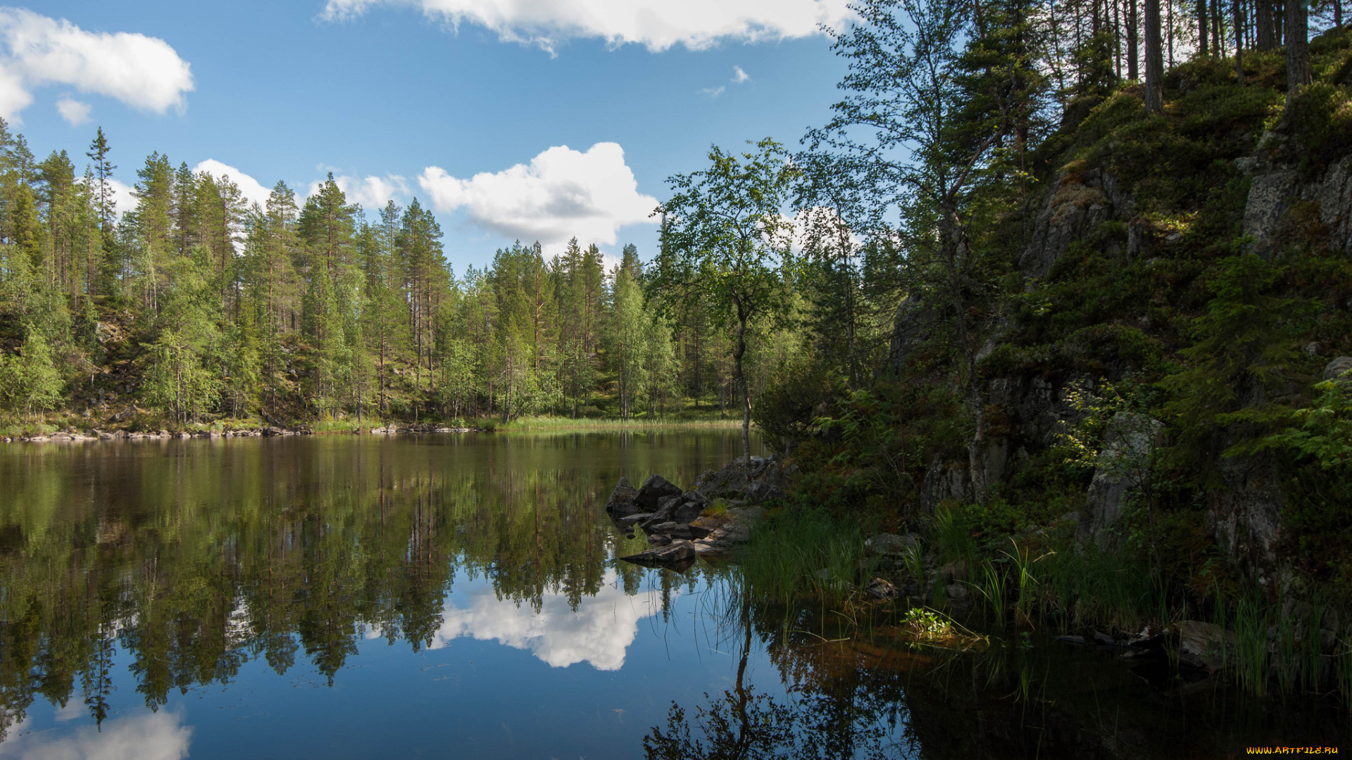 природа, реки, озера, река, лес