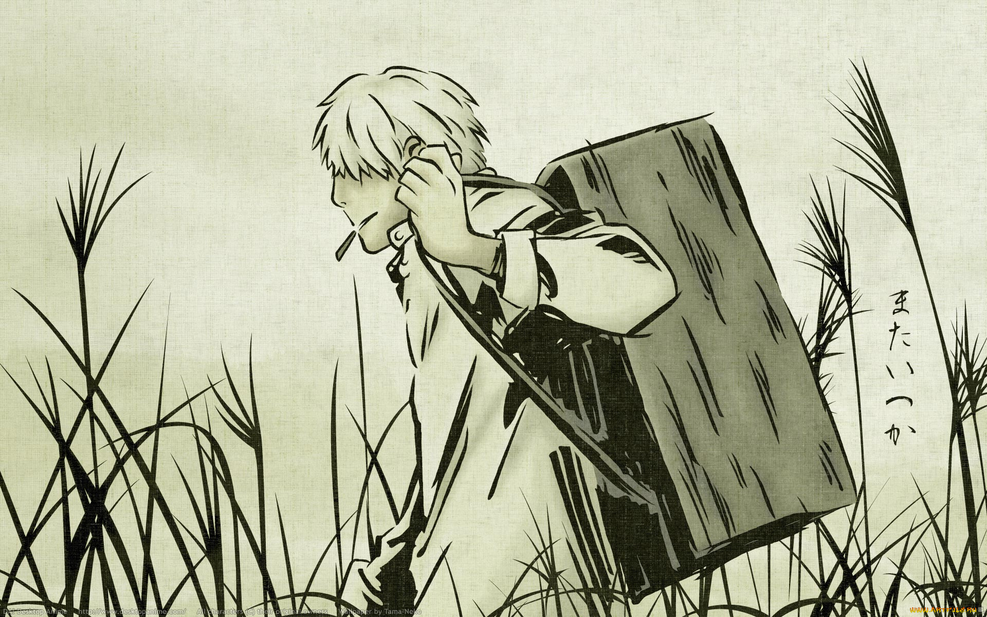 аниме, mushishi, ginko