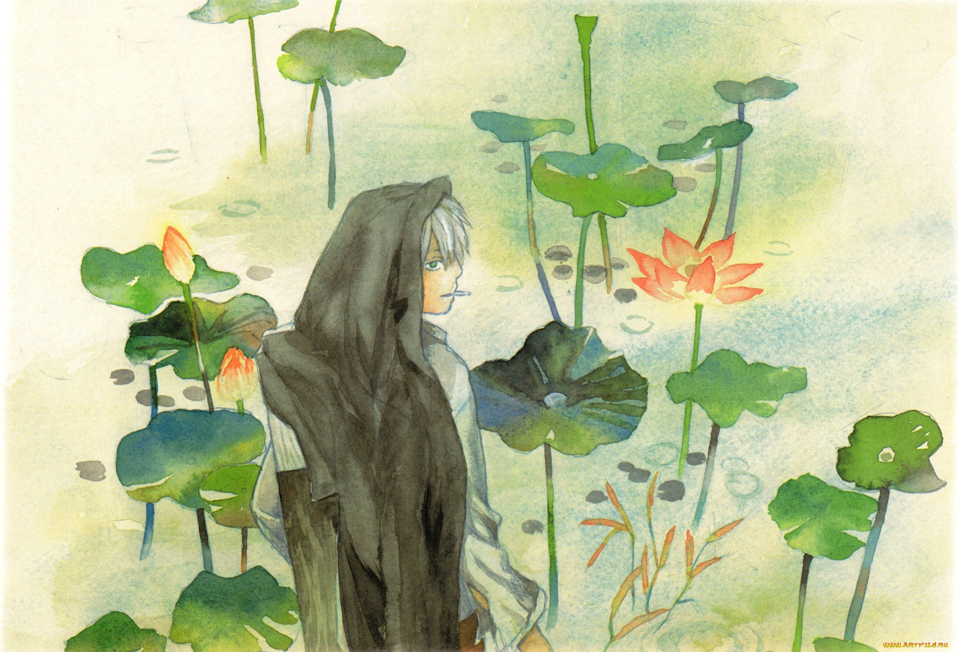 аниме, mushishi, ginko