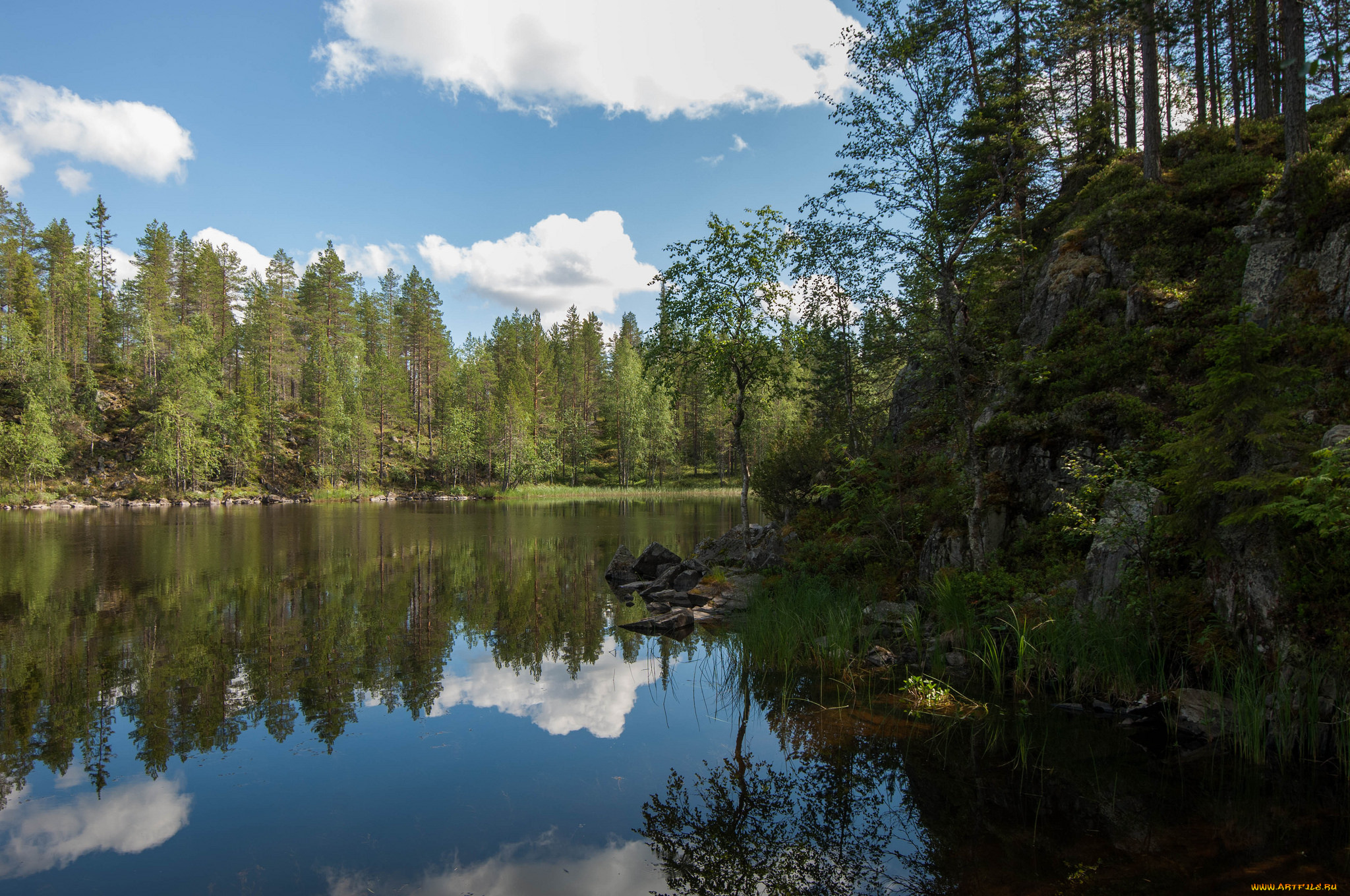 природа, реки, озера, река, лес