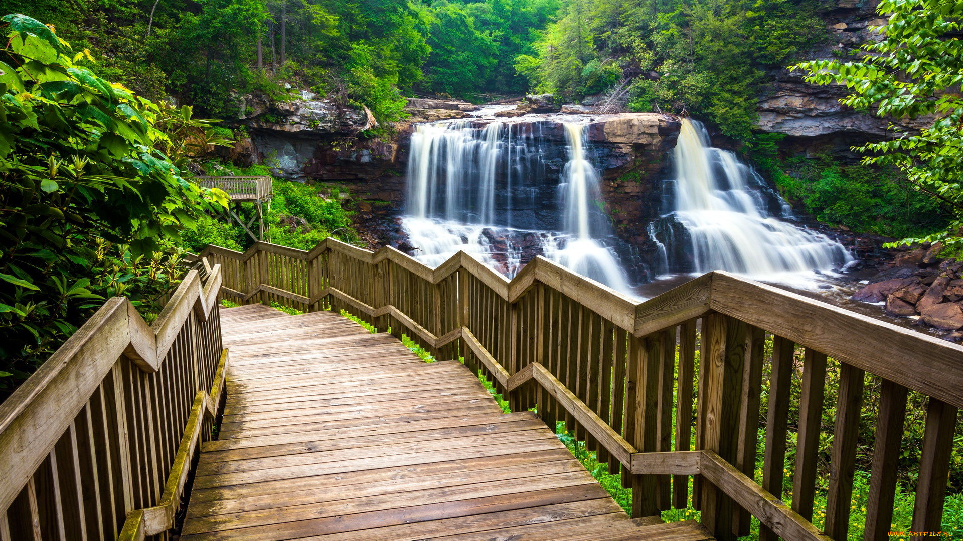 blackwater, falls, state, park, west, virginia, usa, природа, водопады, blackwater, falls, state, park, west, virginia