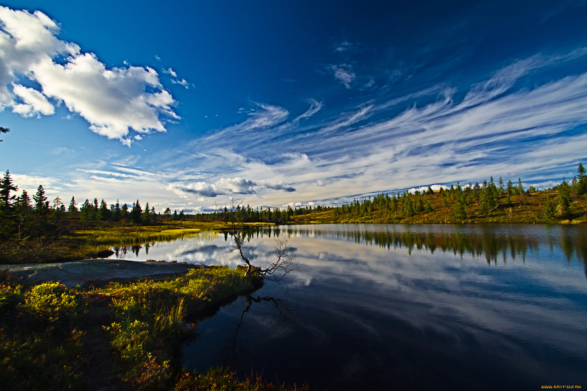 Природа п. Лес река и небо Сибири. Реки России Ангара. Сибирь природа облака. Обои рабочего стола 2560x1440 река Волга.