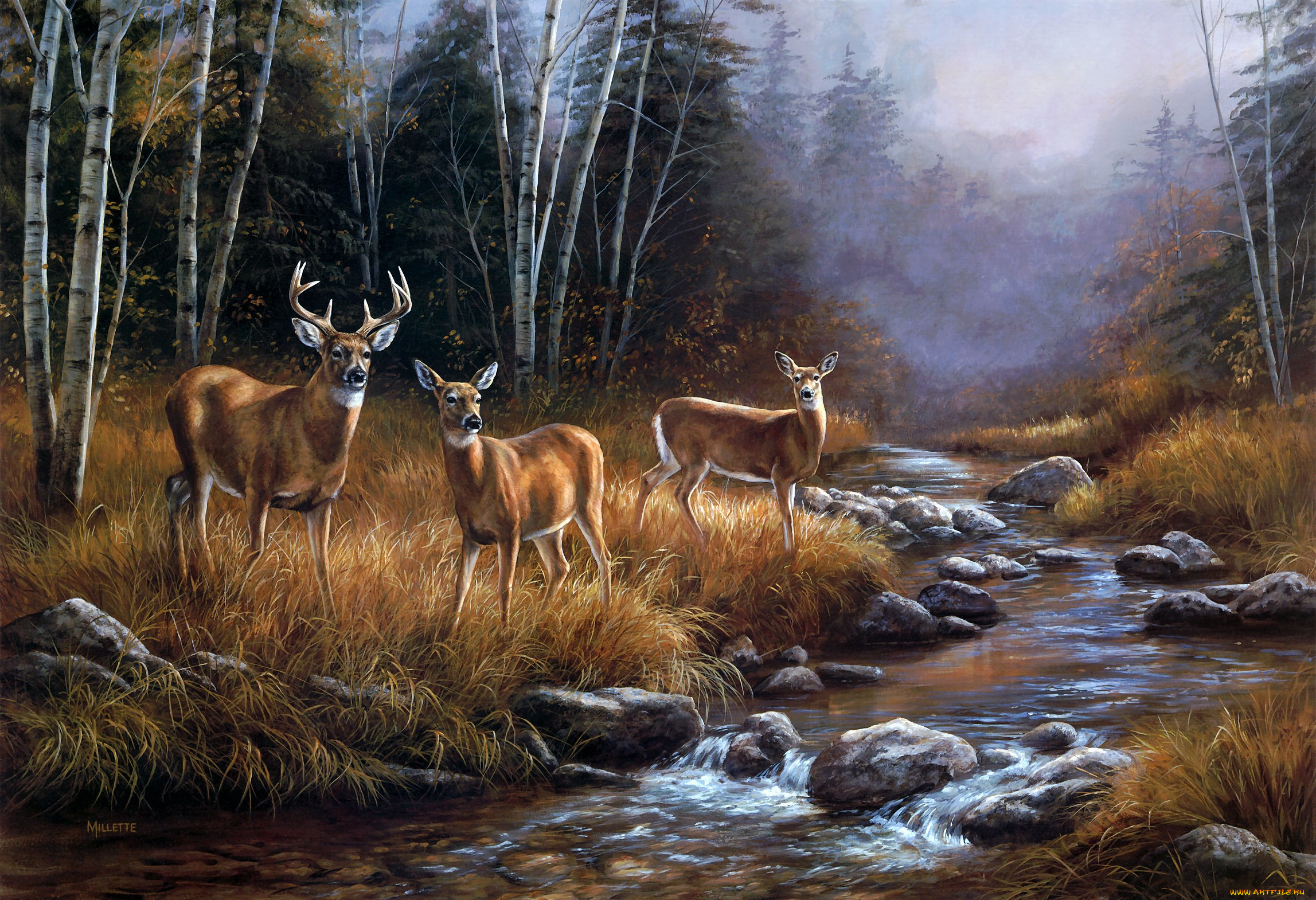 графика олень река природа graphics deer river nature загрузить