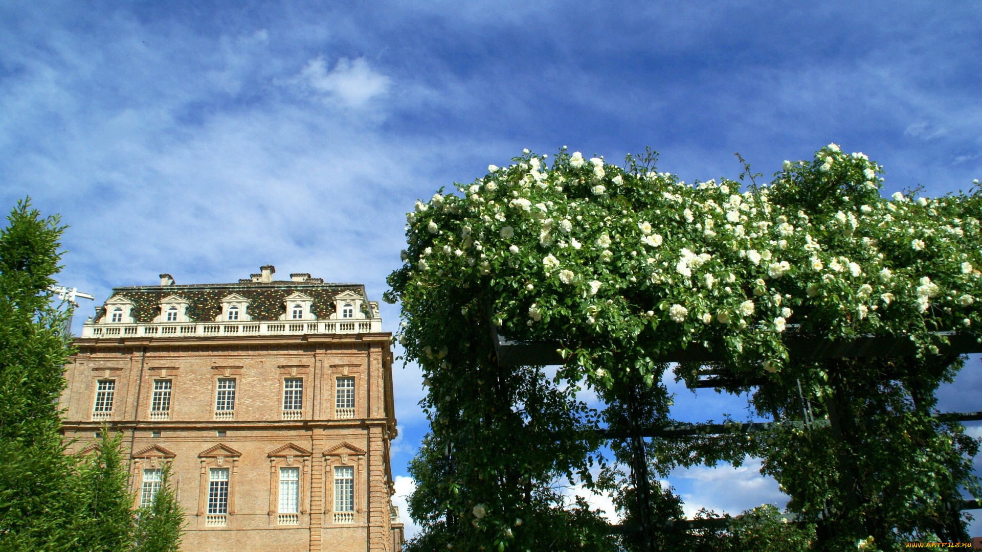 venaria, reale, piemonte, italy, города, здания, дома, италия, пьемонт, венария-реале, розы