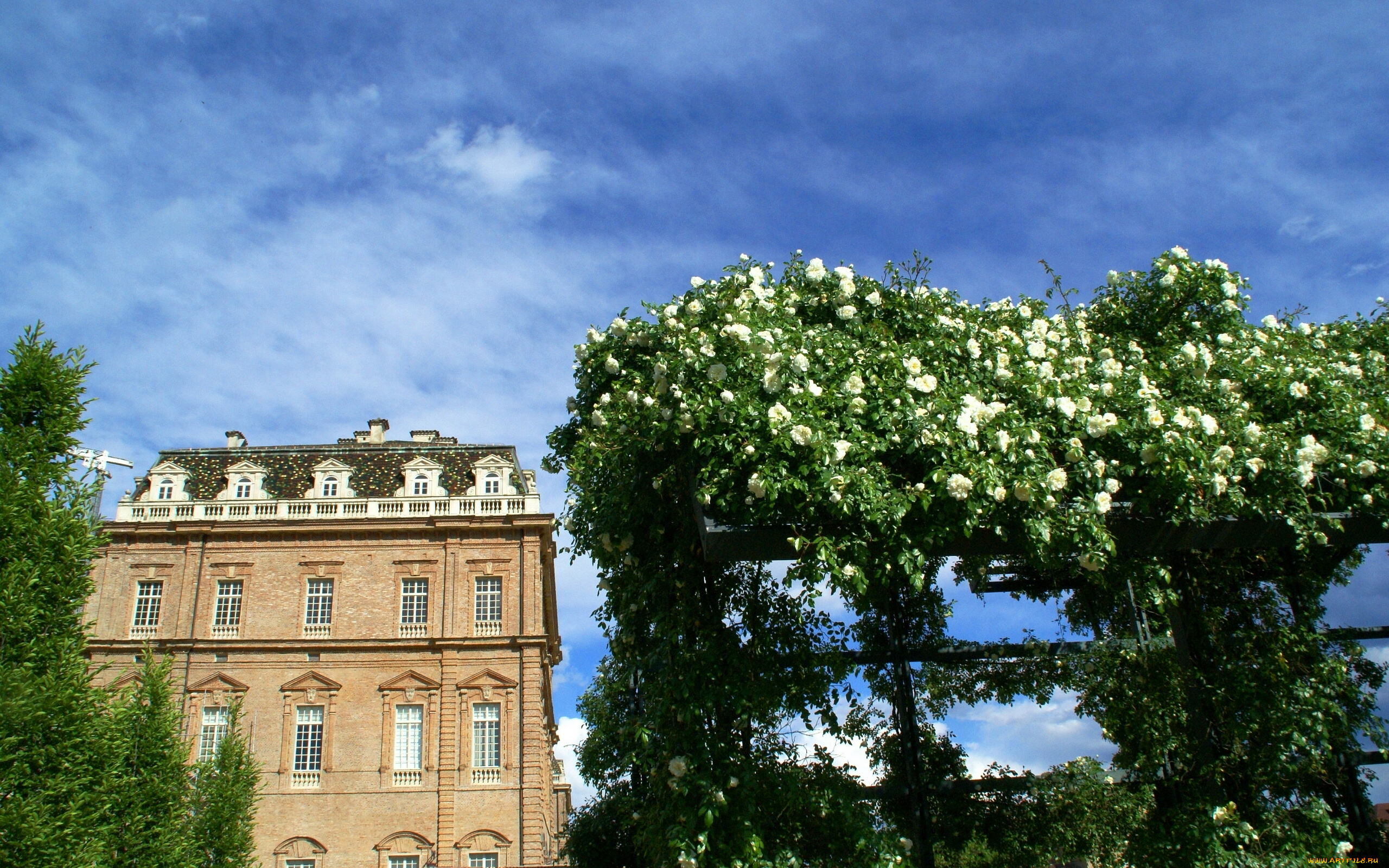 venaria, reale, piemonte, italy, города, здания, дома, италия, пьемонт, венария-реале, розы