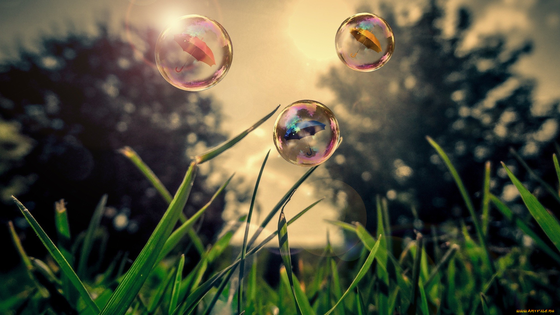 разное, компьютерный, дизайн, grass, bubbles, зонт, трава, природа, пузырьки, umbrella, nature