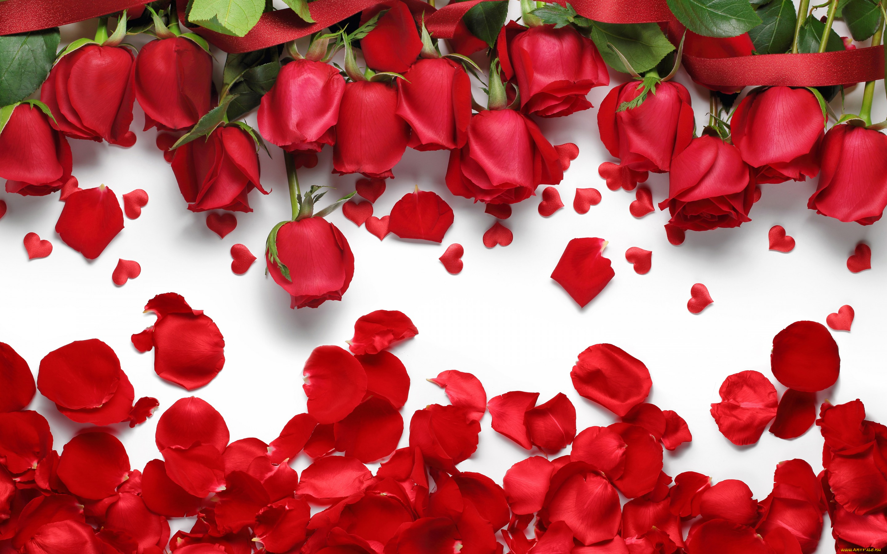 цветы, розы, hearts, petals, сердечки, лепестки, love, flowers, roses, red