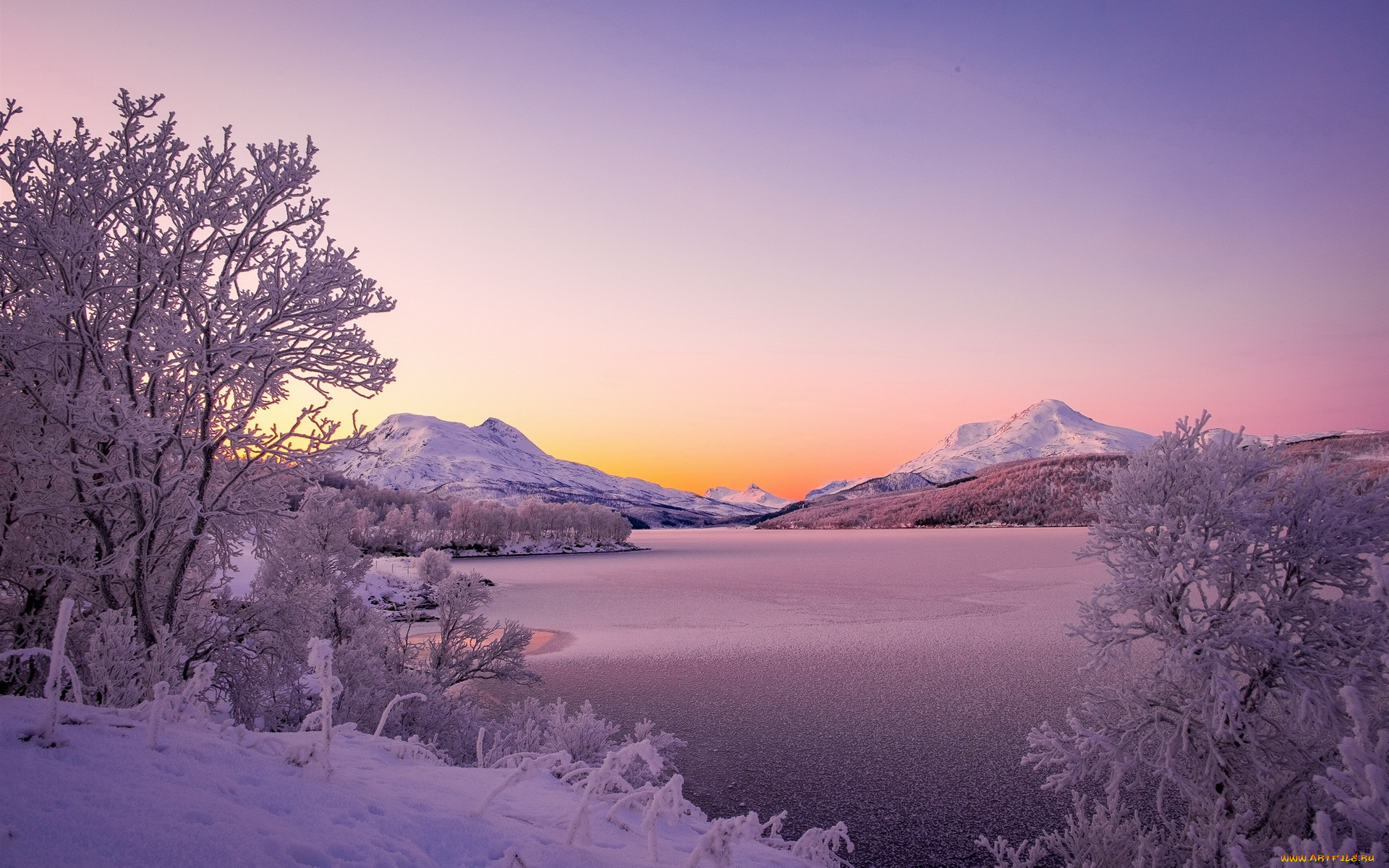 природа, зима, озеро, снег, деревья