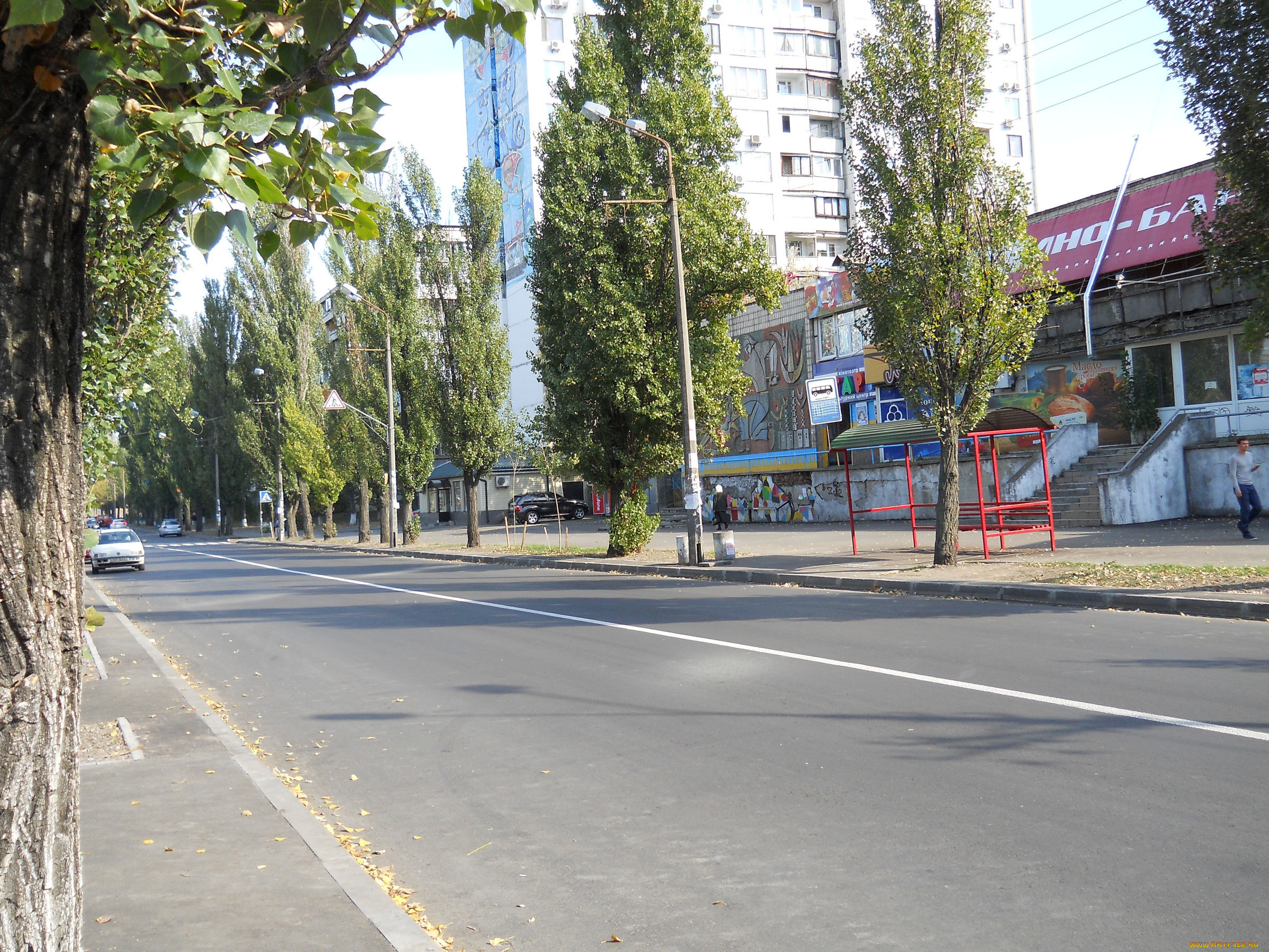 улица, серафимовича, в, киеве, города, киев, , украина, улица, серафимовича, дорога, киев, осень