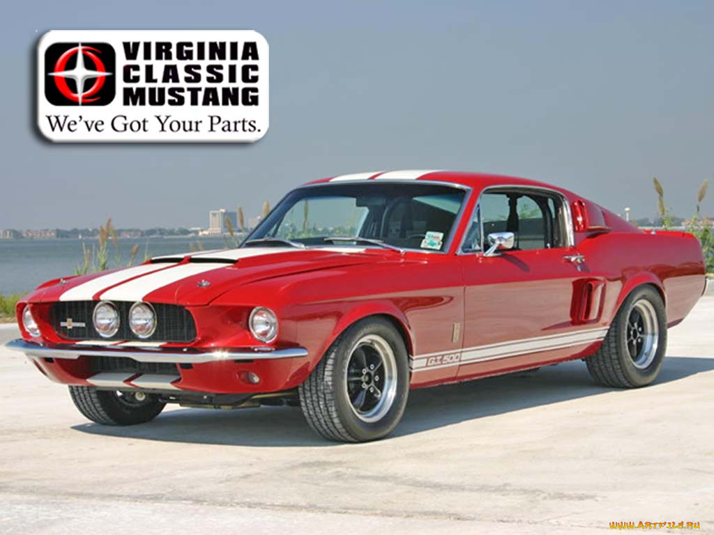 mustang, gt500, 1967год, автомобили, ford