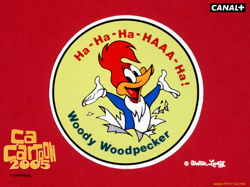 мультфильмы, woody, woodpecker