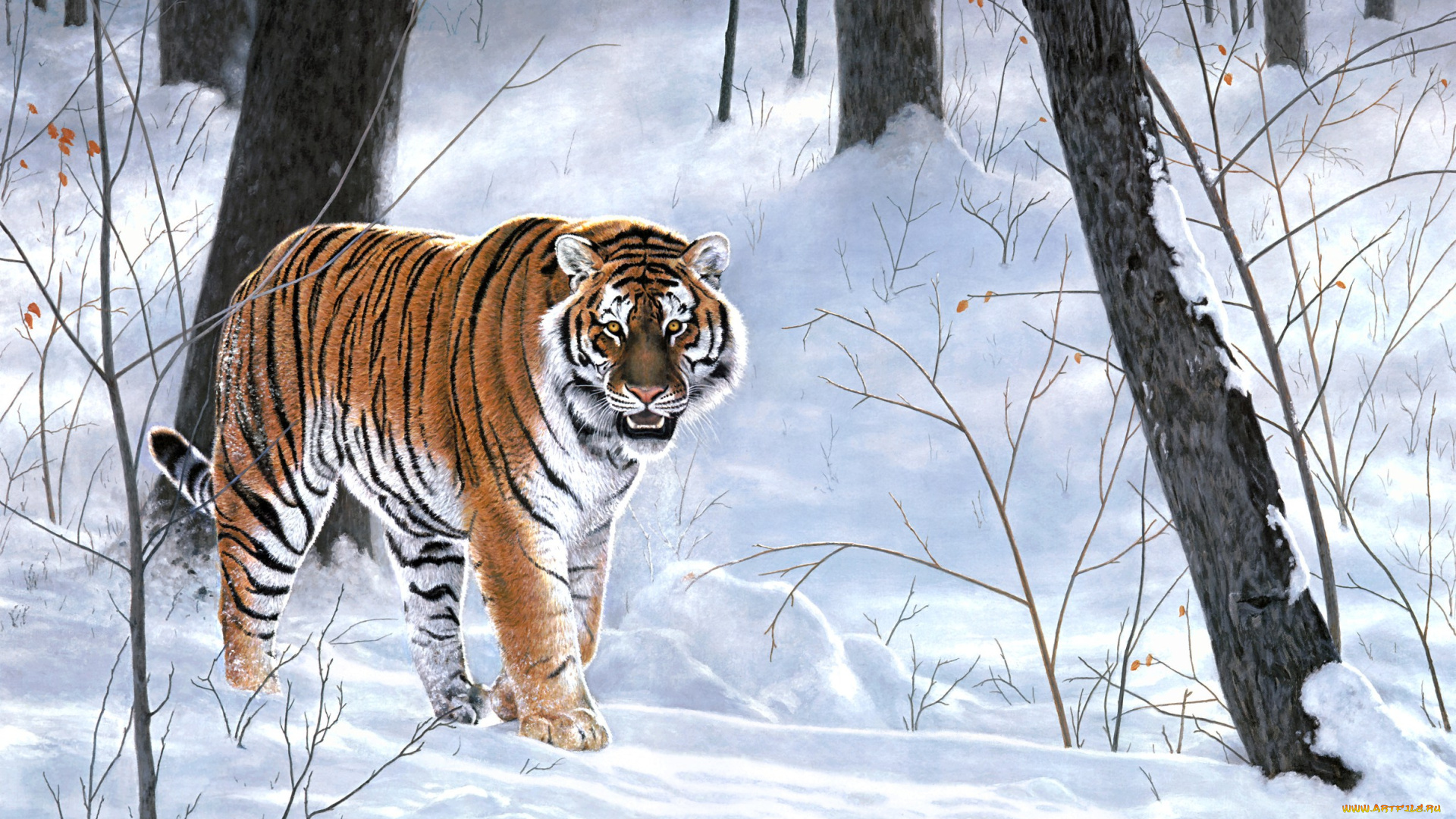 emperor, of, siberia, рисованные, charles, frace, зима, лес, тигр, животные