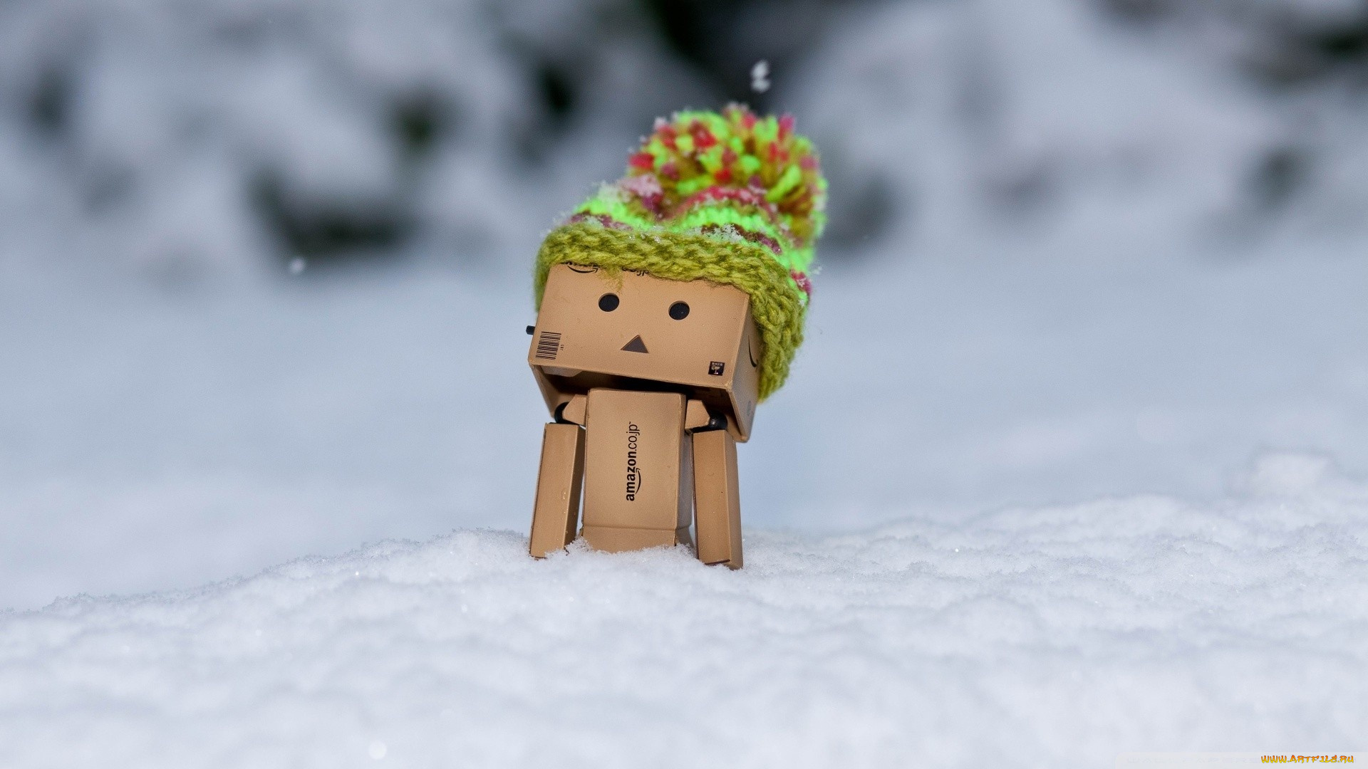 разное, данбо, danboard