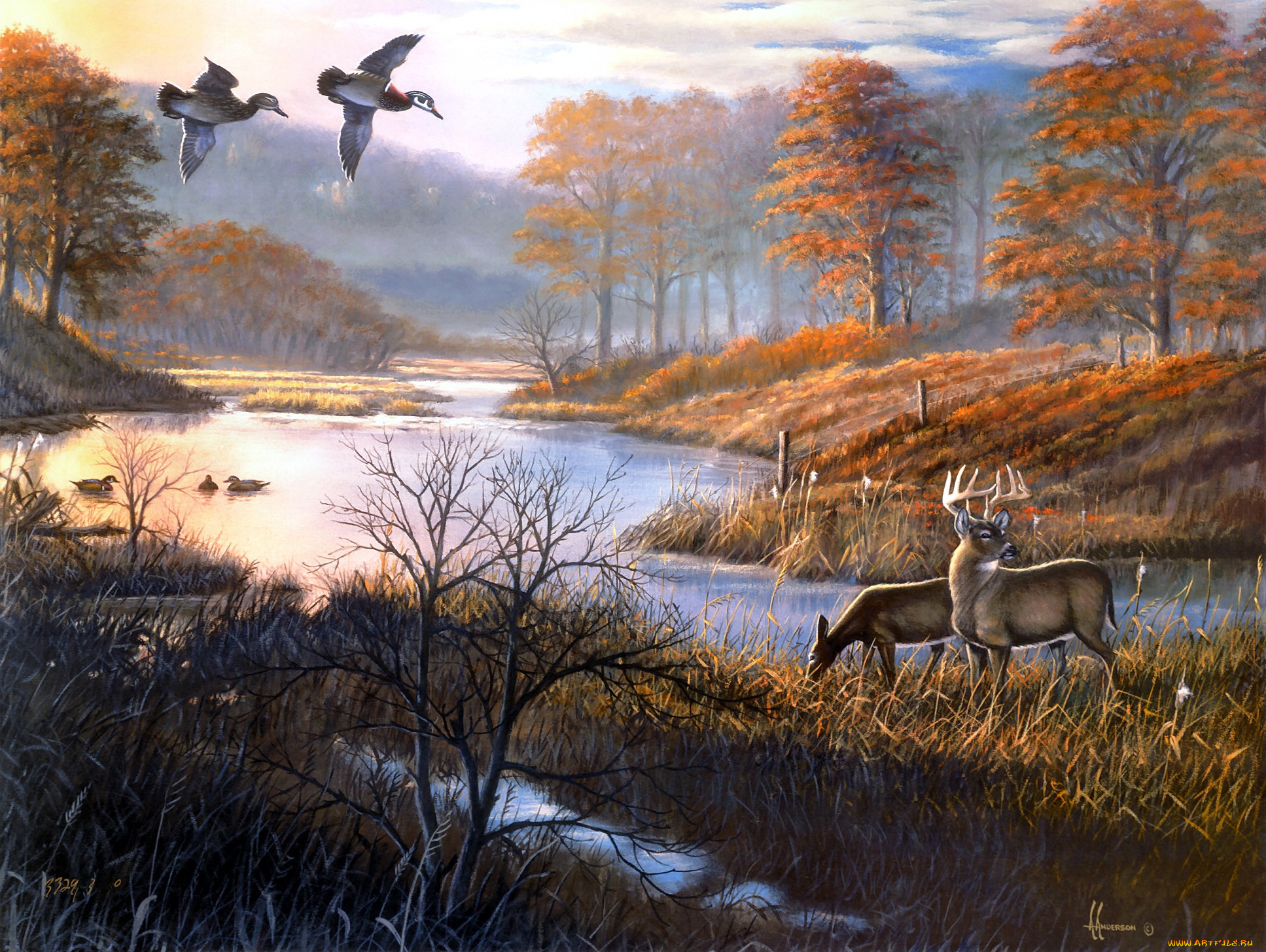 duck, pond, woodies, рисованные, arthur, anderson, олени, утки, озеро, осень