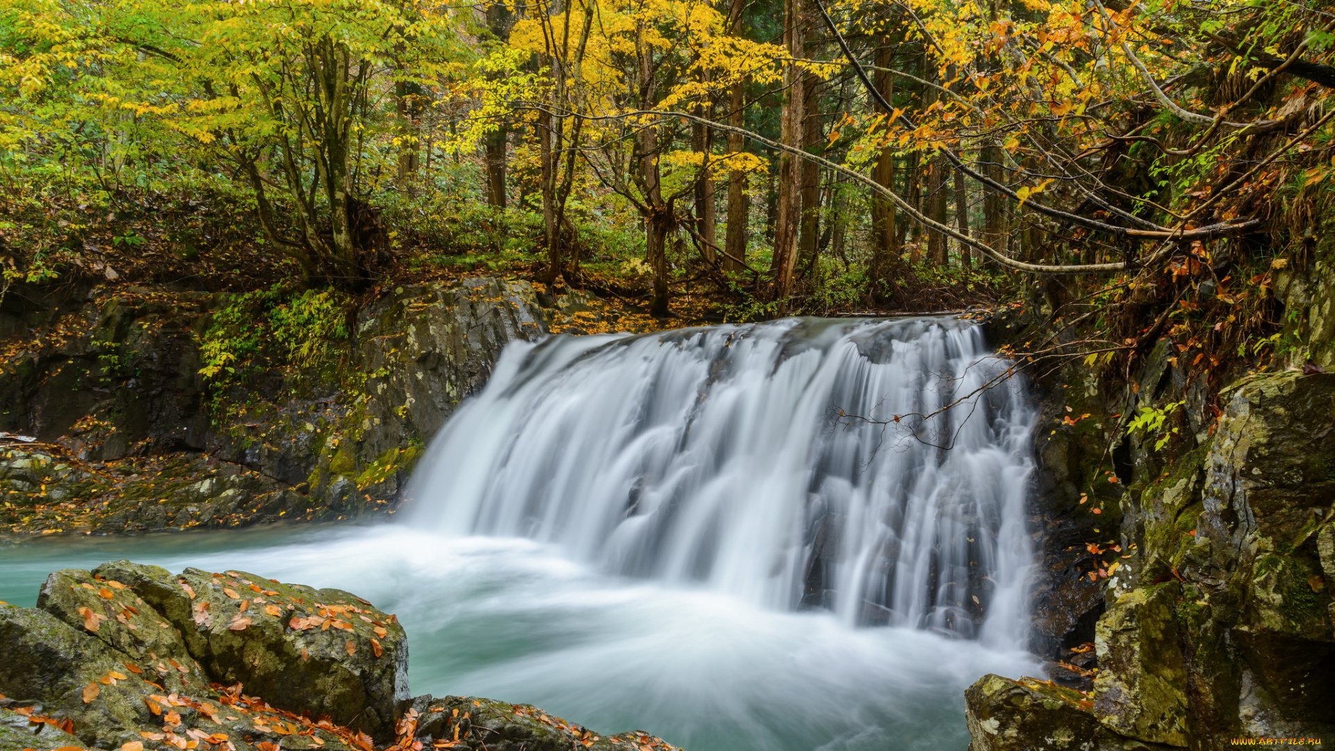 природа, водопады, лес, осень, водопад, поток