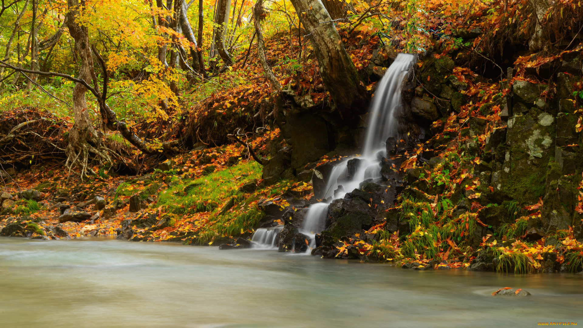 природа, водопады, поток, осень, водопад, лес, река