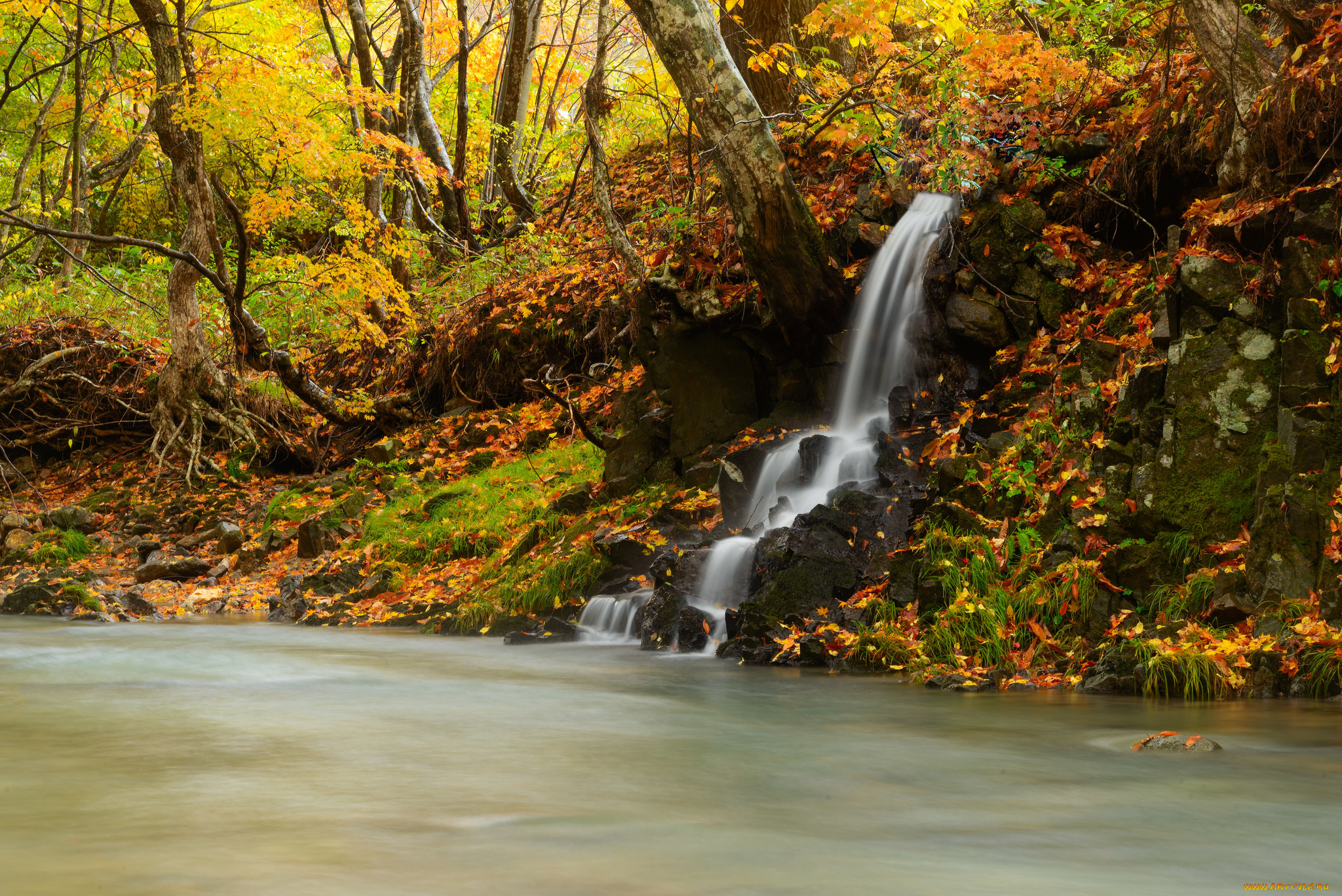 природа, водопады, поток, осень, водопад, лес, река