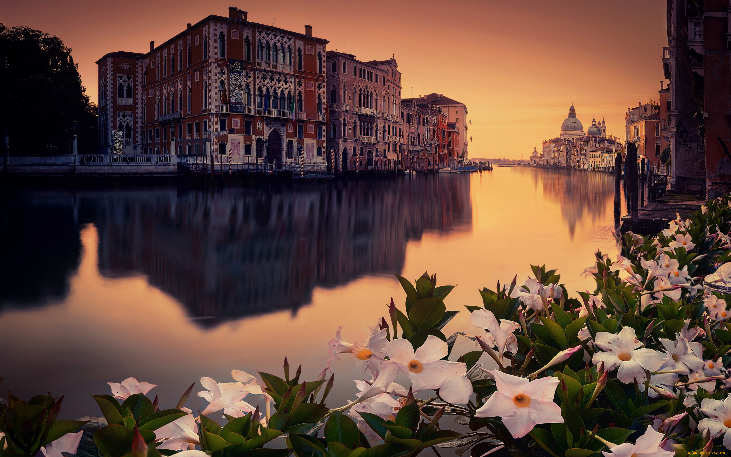 города, венеция, , италия, цветы, вечер, канал, закат
