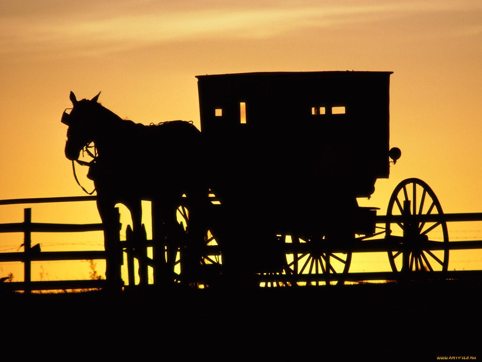 amish, horse, drawn, buggy, pennsylvania, разное