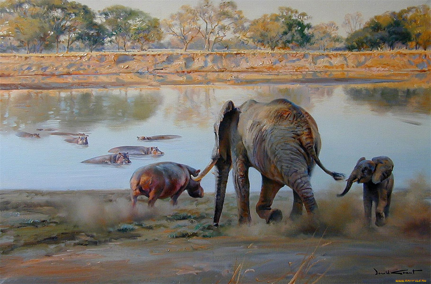 donald, grant, рисованные, водоём, бегемоты, слоны