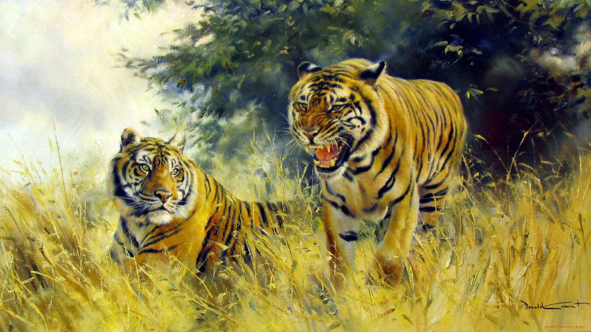 donald, grant, рисованные, тигры