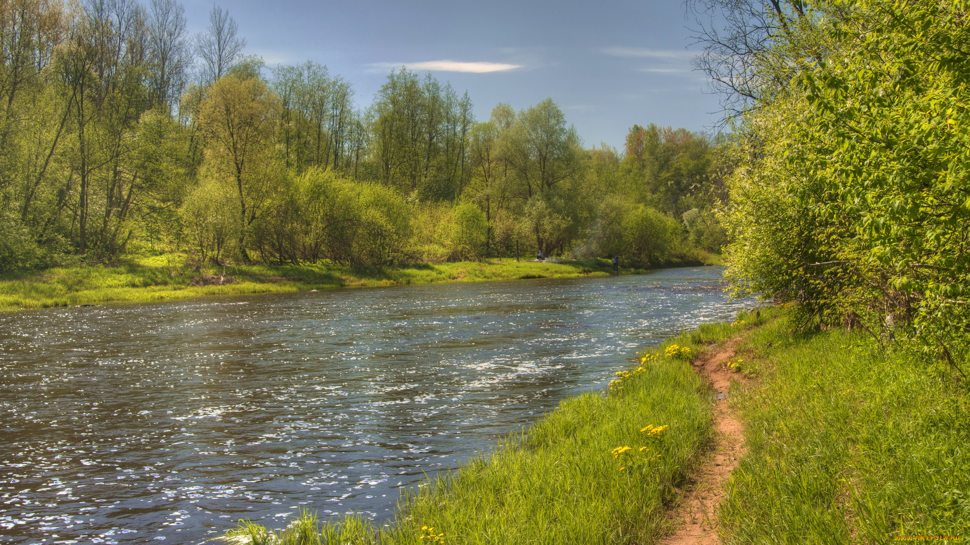 природа, реки, озера, река, деревья, тропинка