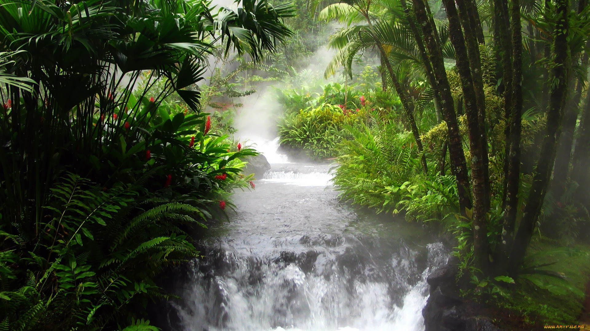 природа, водопады, водопад, джунгли, деревья, цветы, папоротники, река