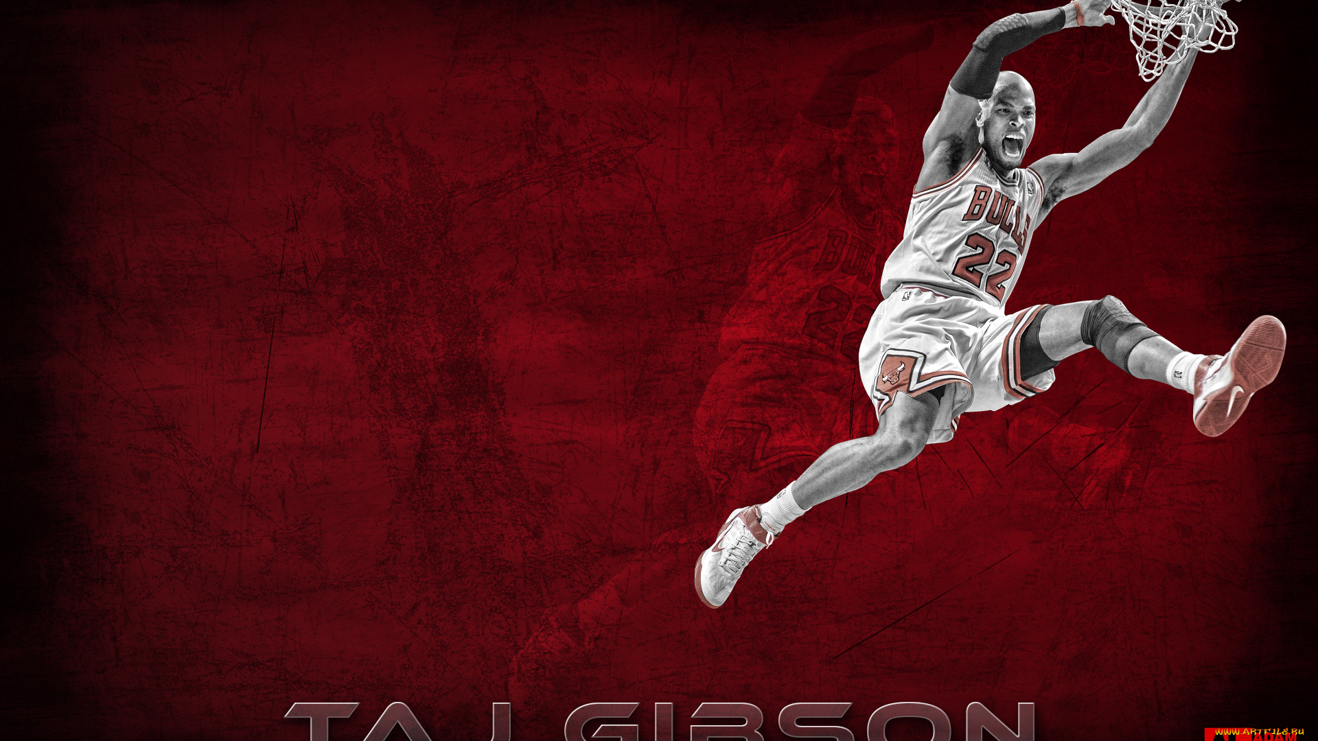 taj, gibson, спорт, nba, баскетбол, нба