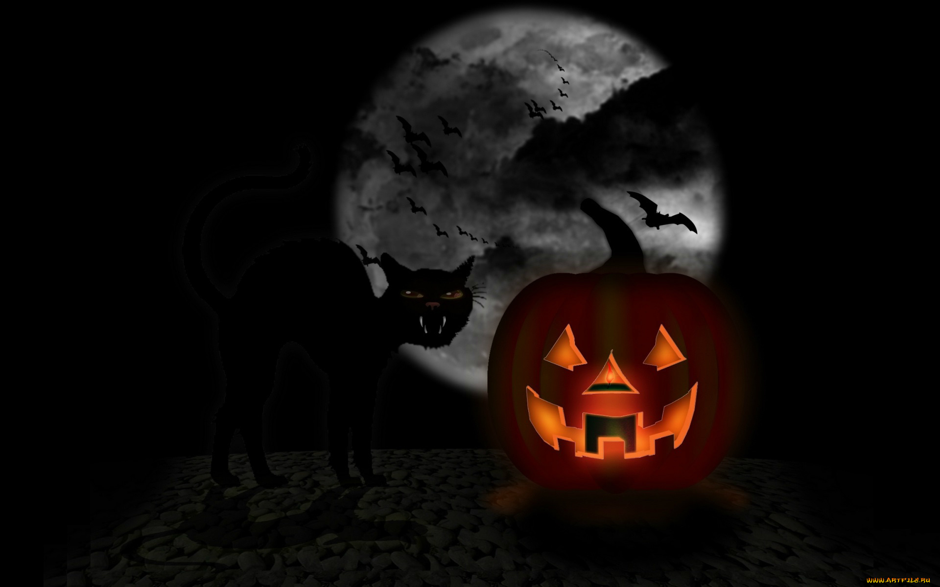 праздничные, хэллоуин, полнолуние, светильник, джека, черный, кот, happy, halloween, тьма, пасть, летучая, мышь