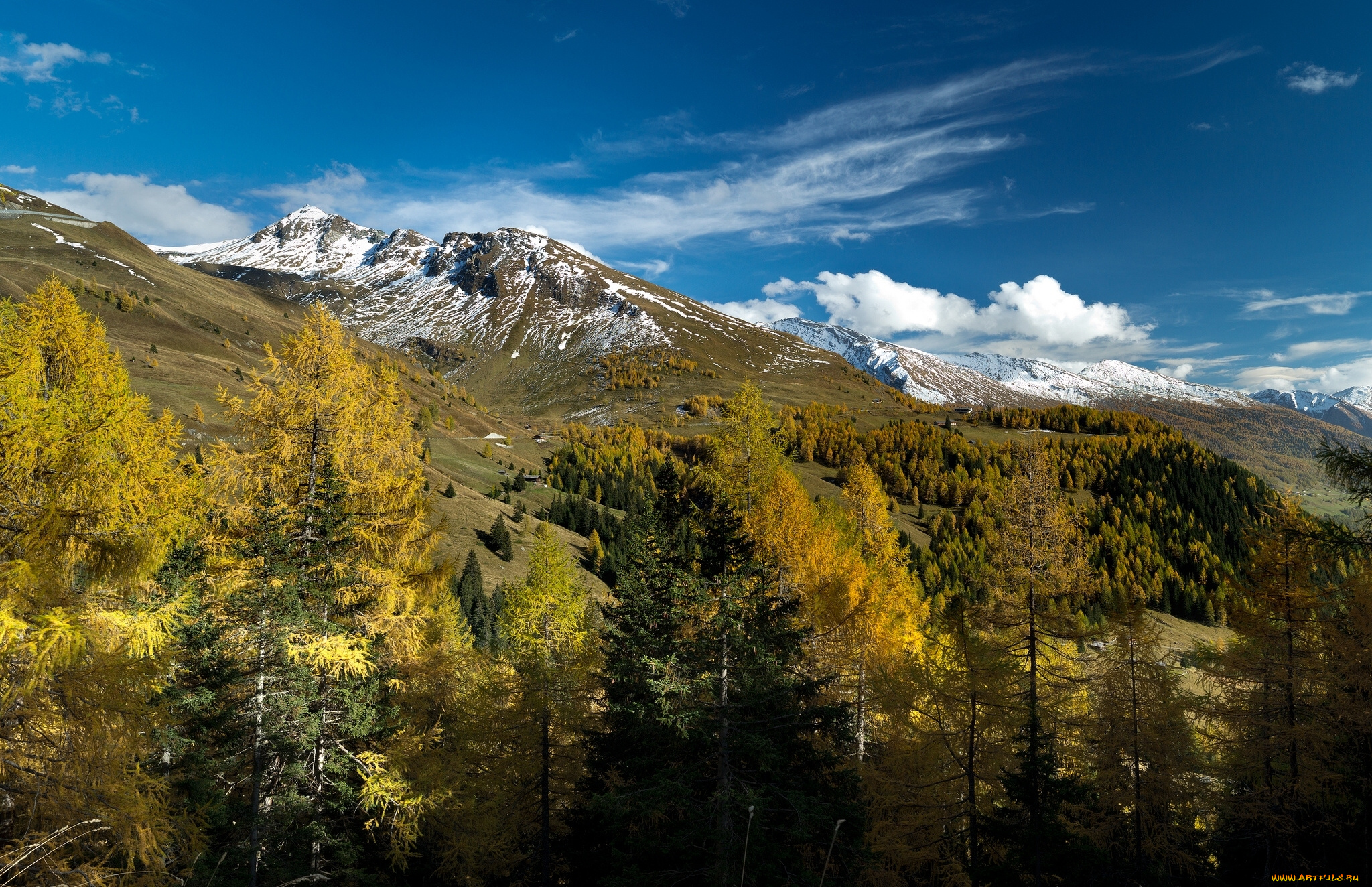 природа, горы, осень, zell, am, see, альпы, австрия, деревья, зальцбург, целль-ам-зе, alps, austria, salzburg