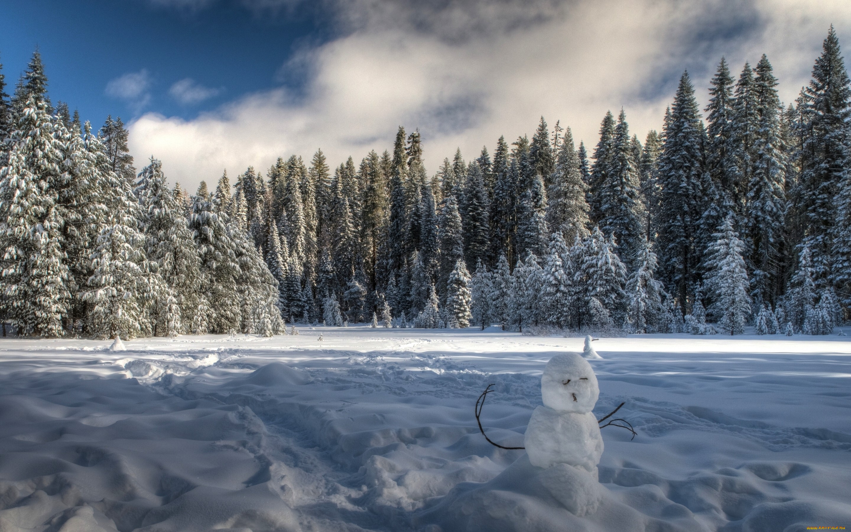 праздничные, снеговики, ели, деревья, снег, лес, yosemite, national, park, зима, калифорния, california, йосемити, национальный, парк, снеговик