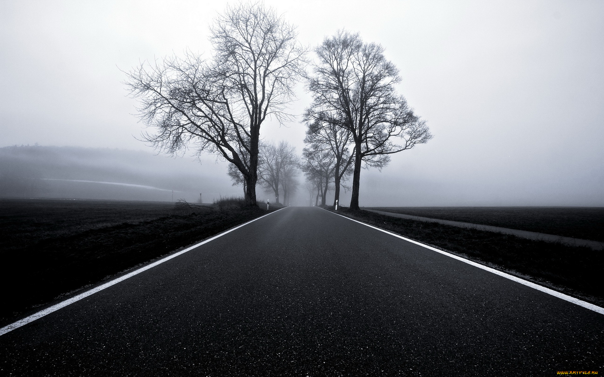 природа, дороги, дорога, туман