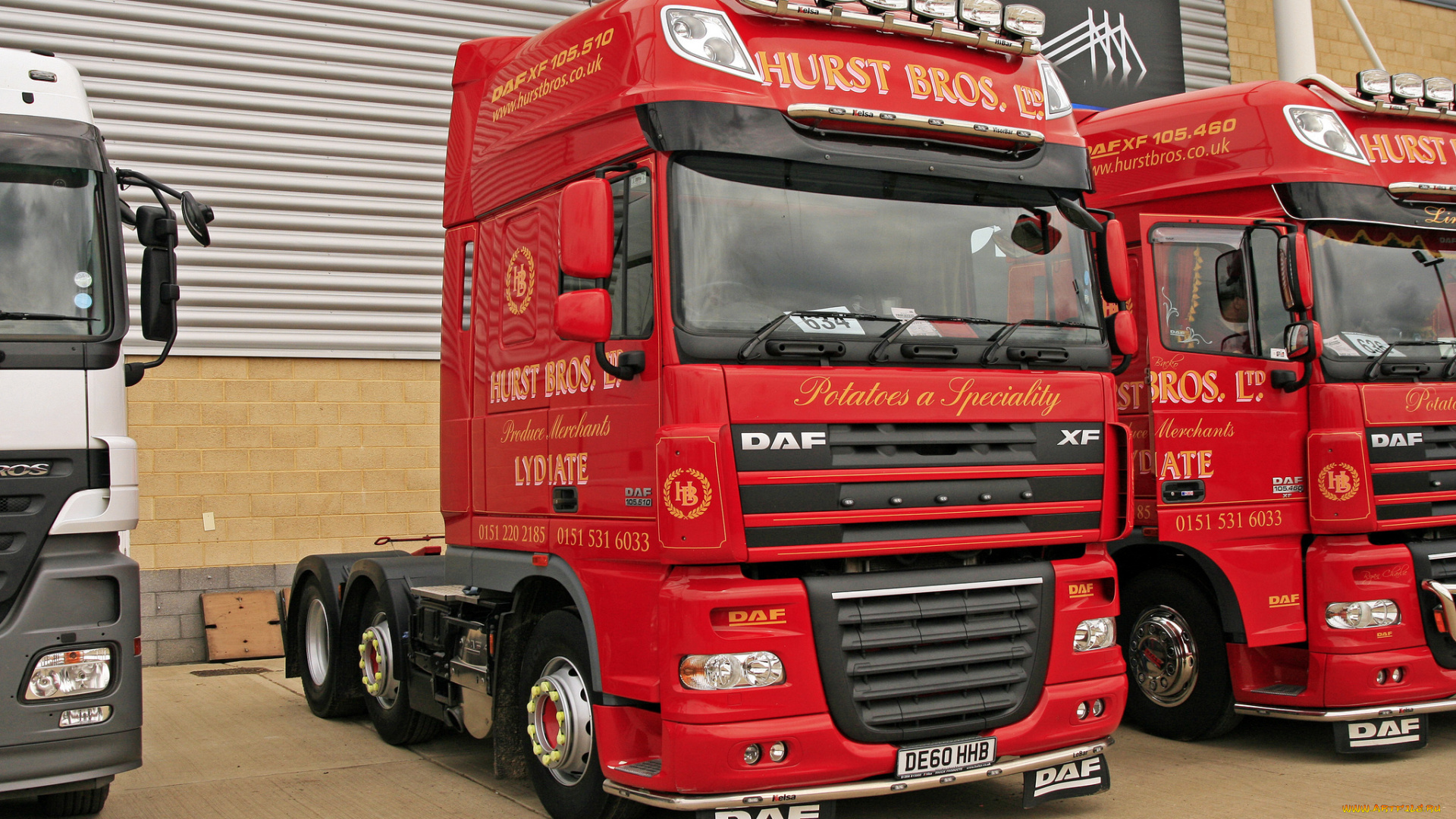 daf, автомобили, шасси, автобусы, седельные, тягачи, нидерланды, trucks, nv