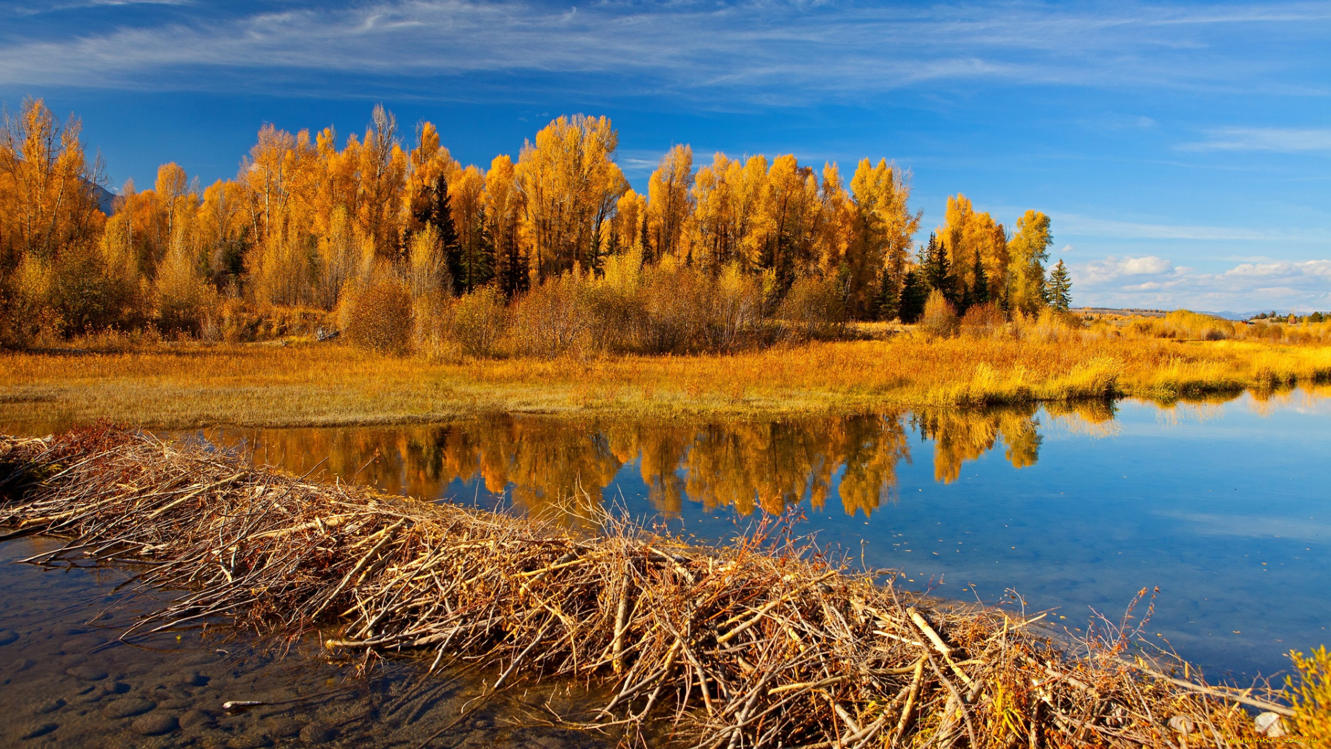 природа, реки, озера, трава, река, осень