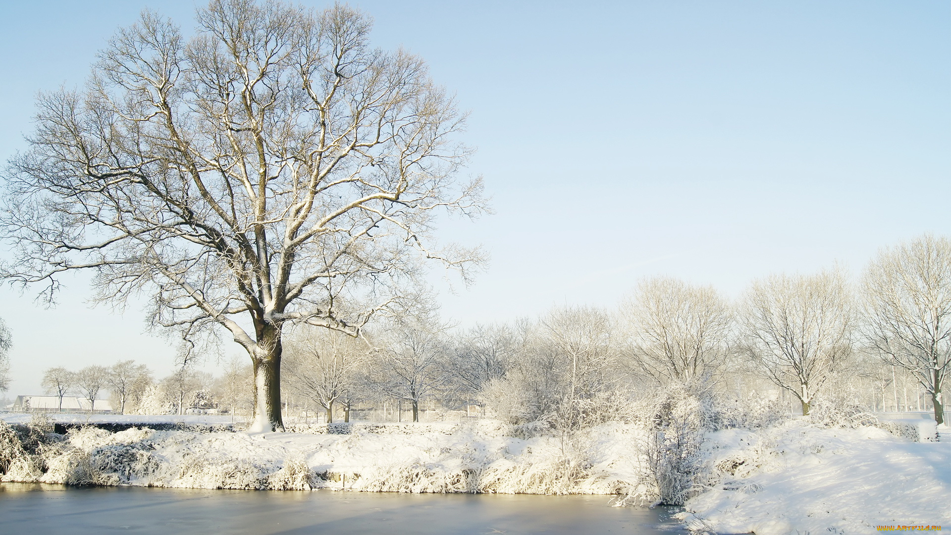 природа, зима, река, снег, деревья