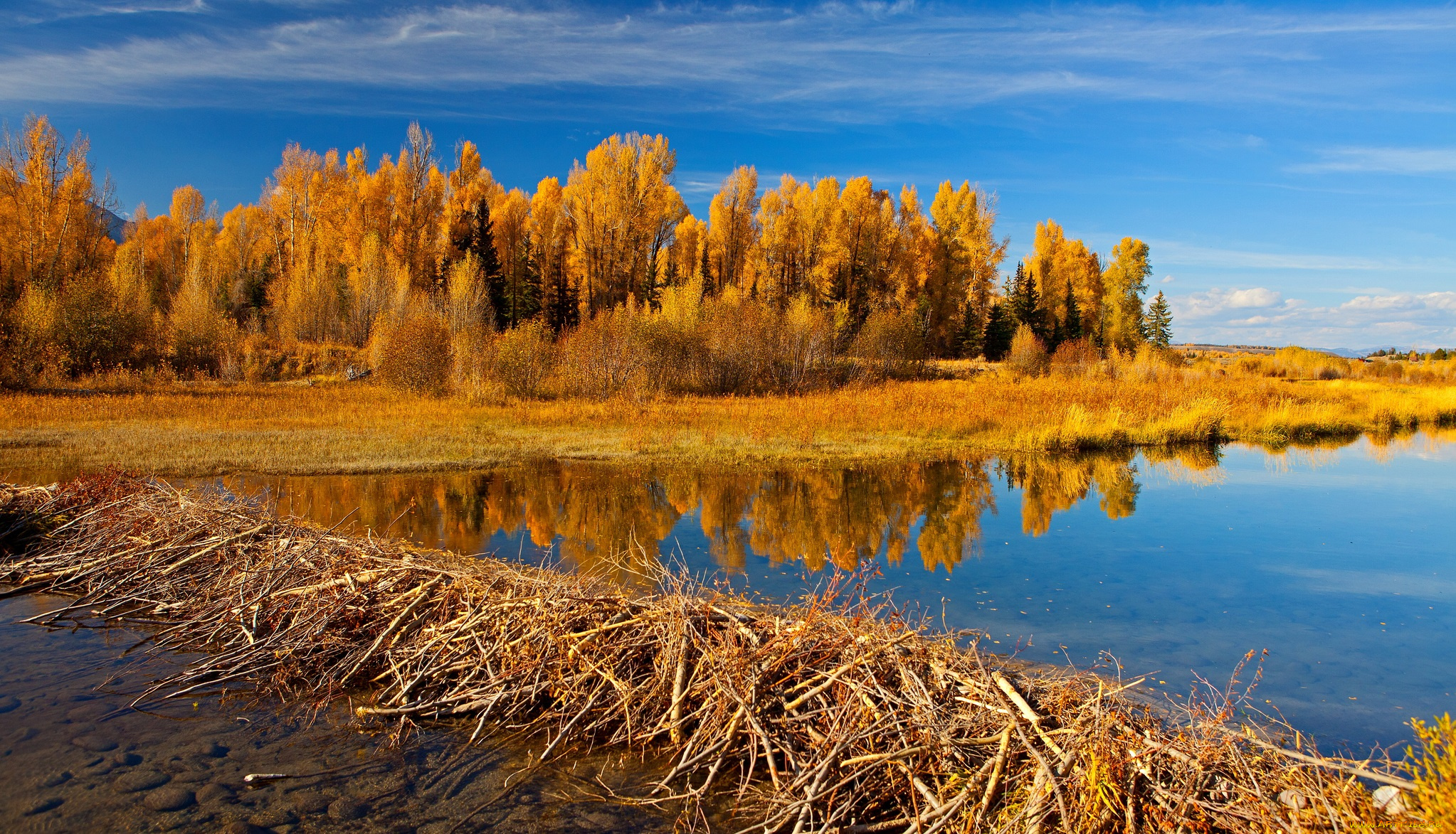 природа, реки, озера, трава, река, осень