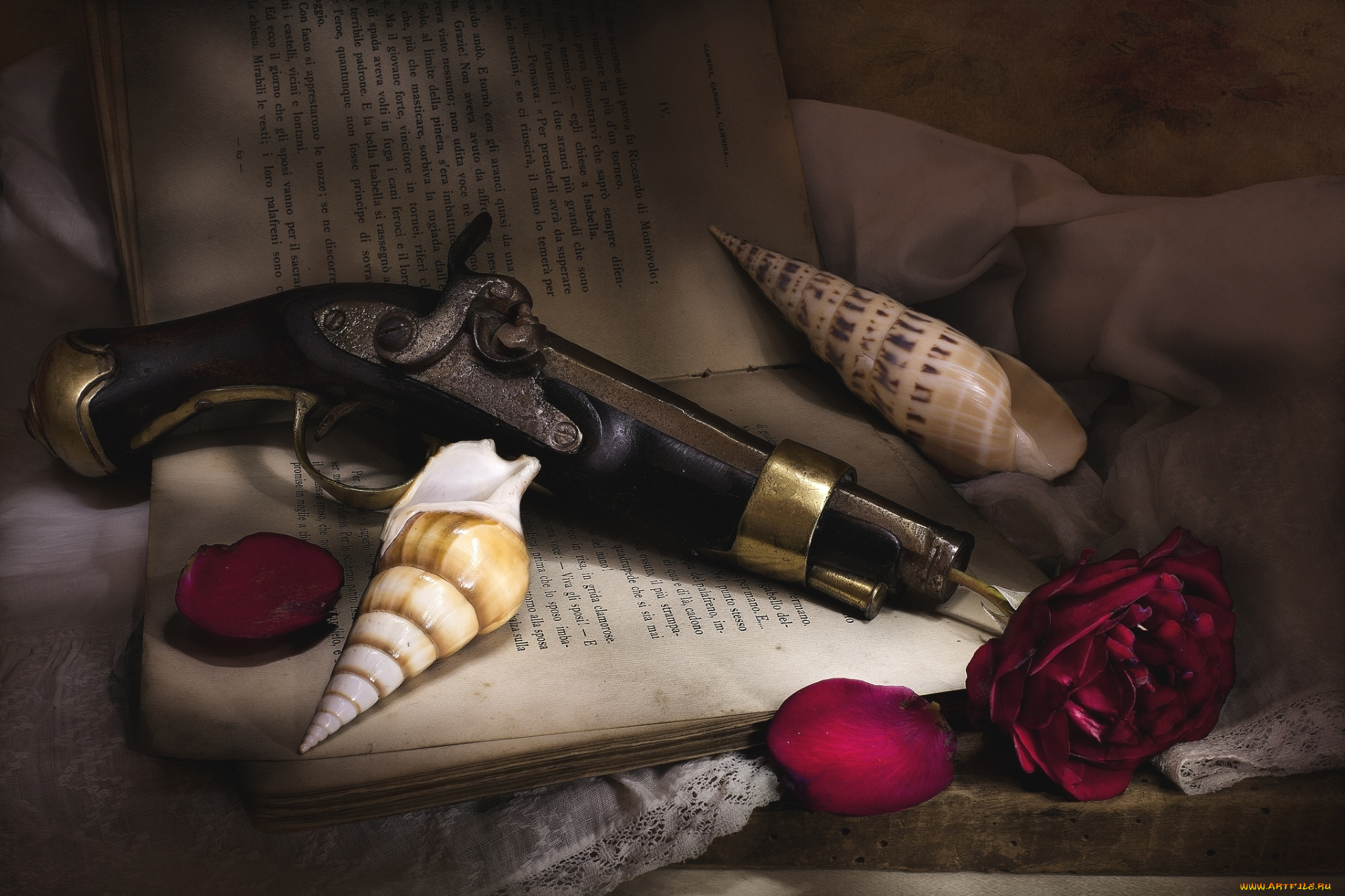 оружие, пистолеты, текстура, роза, ракушка, лепестки, натюрморт, книга, пистолет
