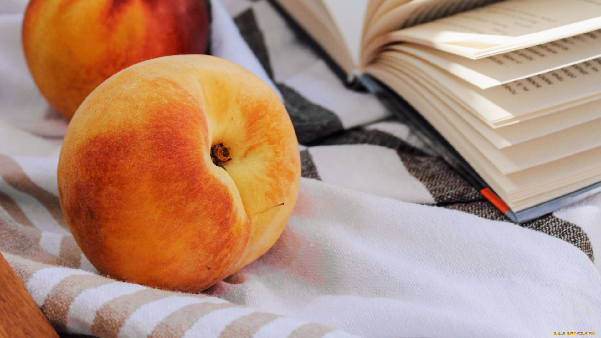 еда, персики, , сливы, , абрикосы, книга