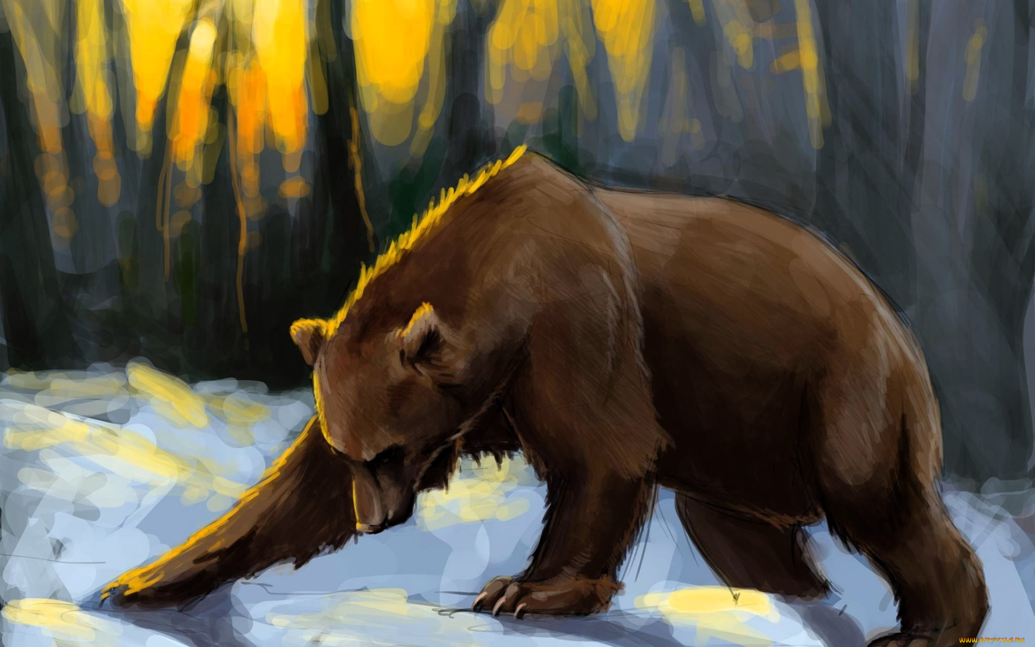 рисованное, животные, , медведи, медведь, снег