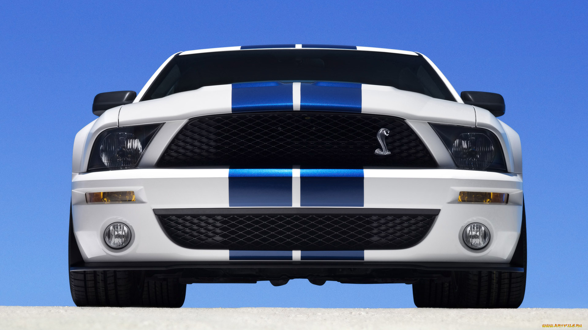 2007, ford, shelby, gt500, автомобили