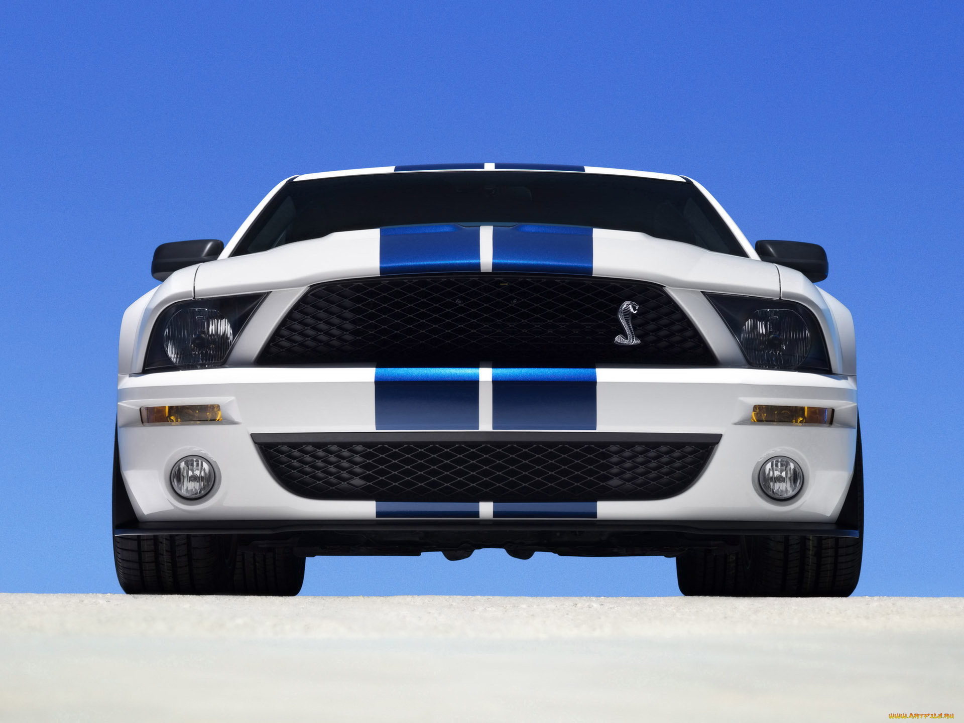 2007, ford, shelby, gt500, автомобили