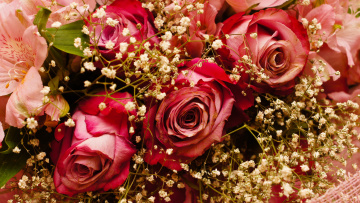 обоя цветы, букеты, композиции, розы, лилии