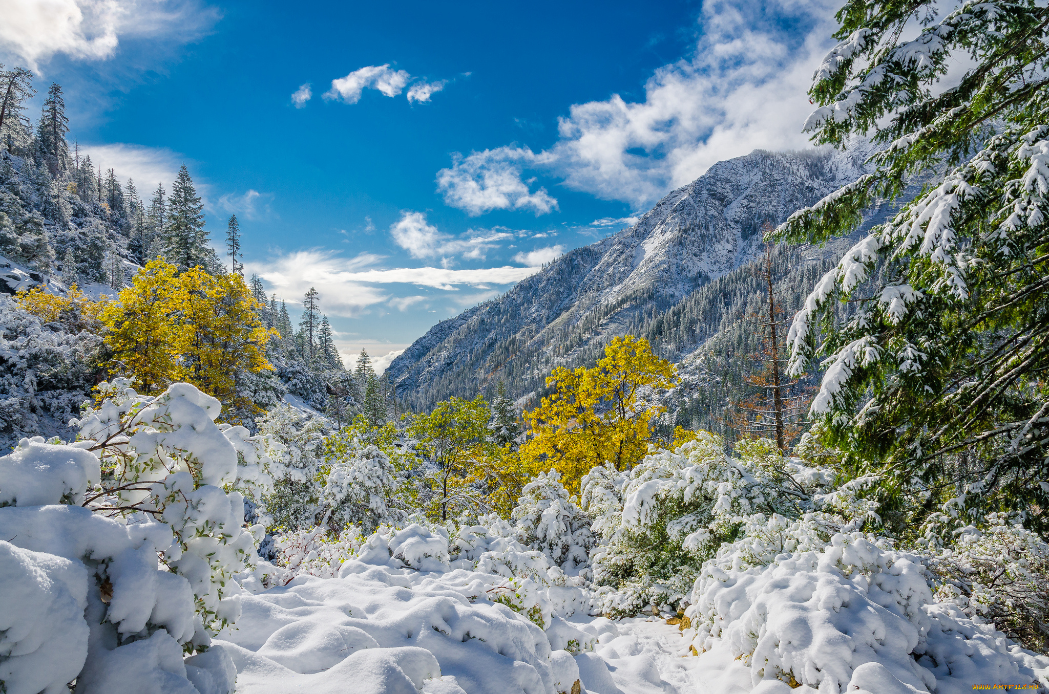 природа, зима, лес, снег, сугробы, распадок, горы