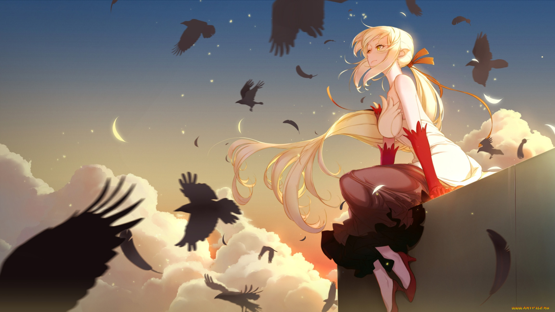 аниме, bakemonogatari, oshino, shinobu