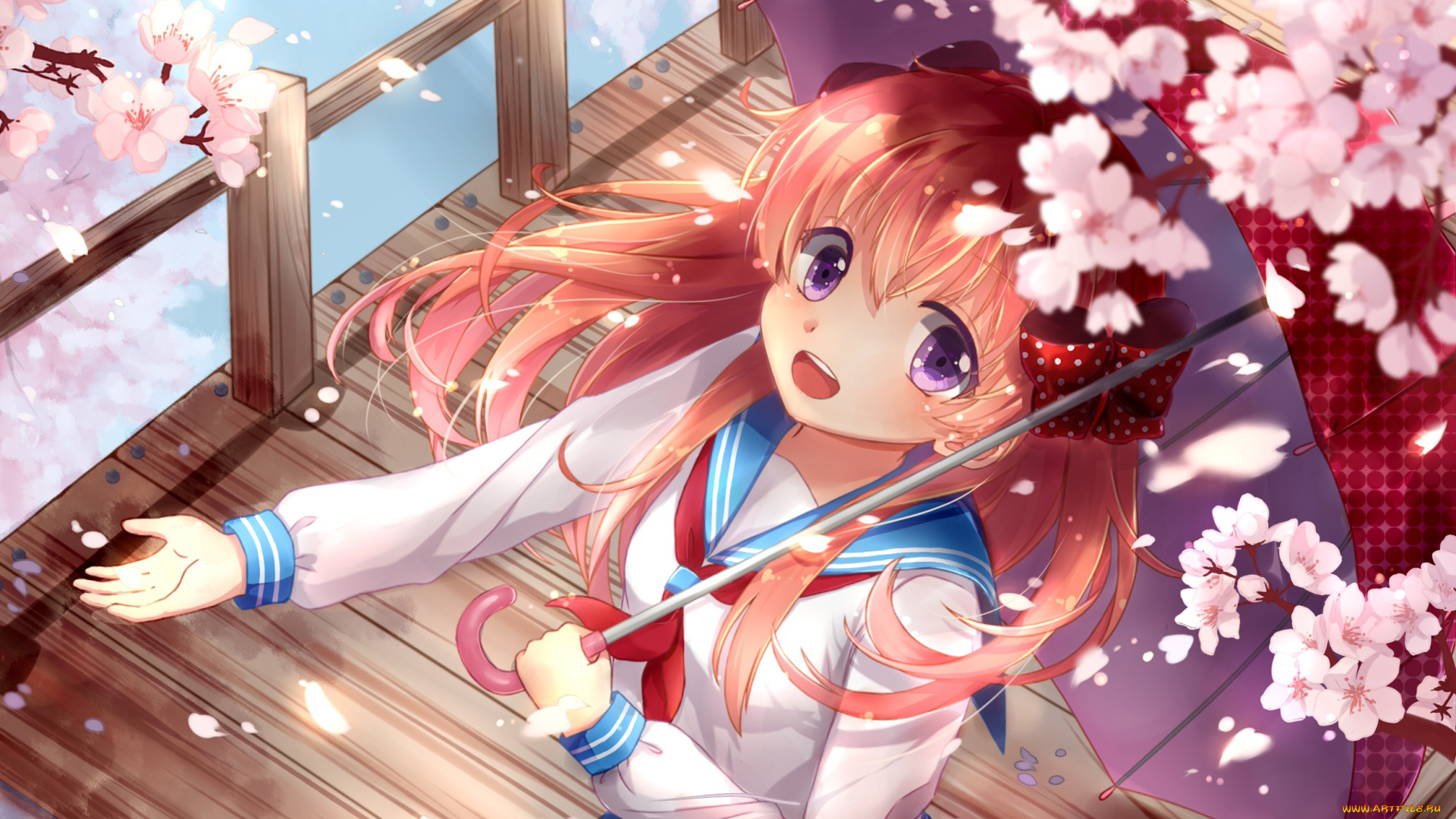 аниме, gekkan, shoujo, nozaki-kun, sakura, chiyo