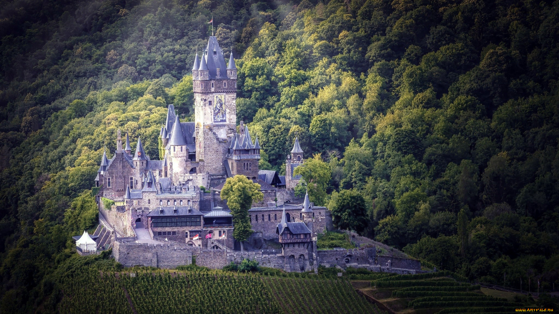 cochem, castle, города, кохем, , германия, cochem, castle