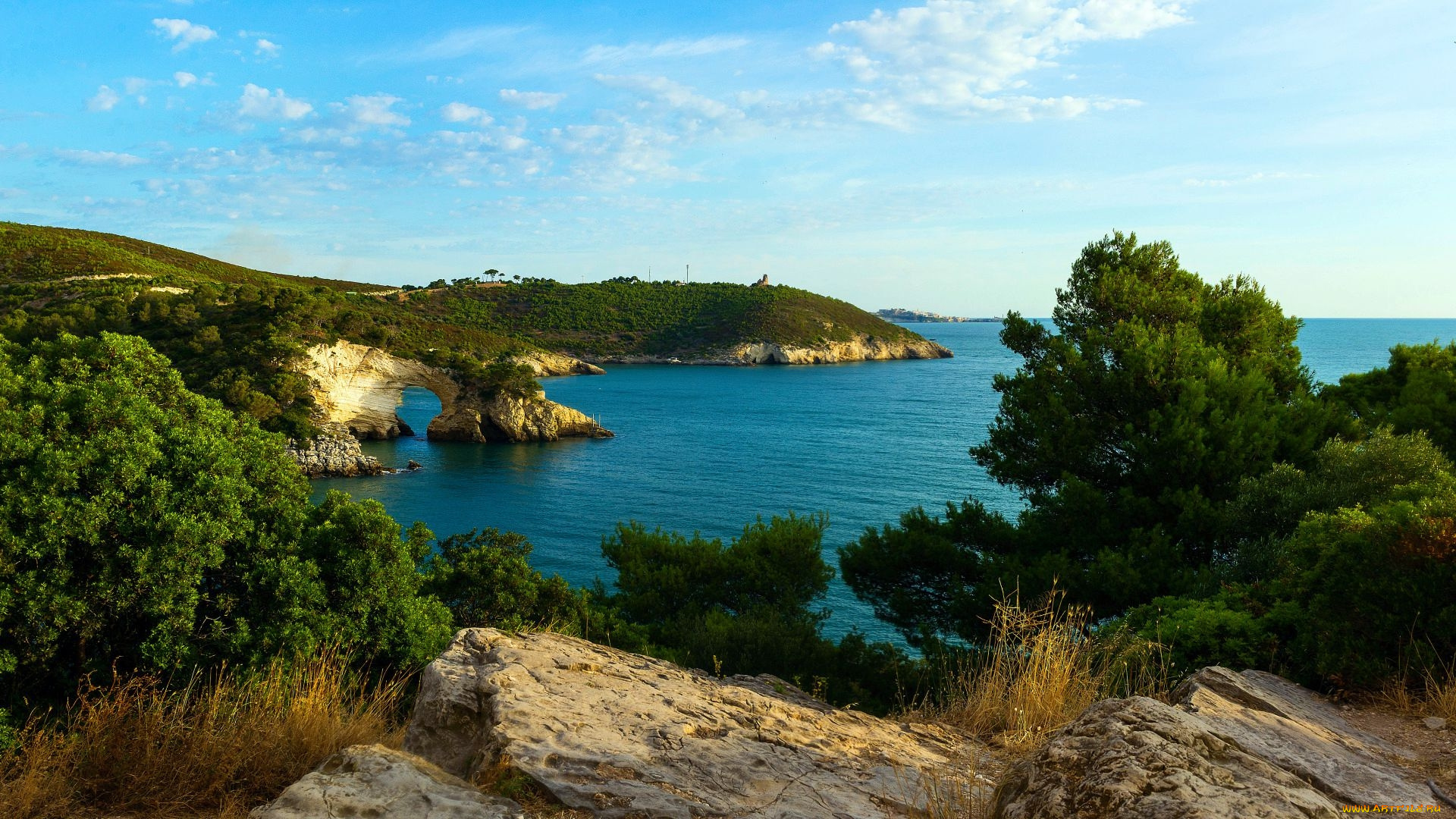 the, coast, of, gargano, italy, природа, побережье, the, coast, of, gargano