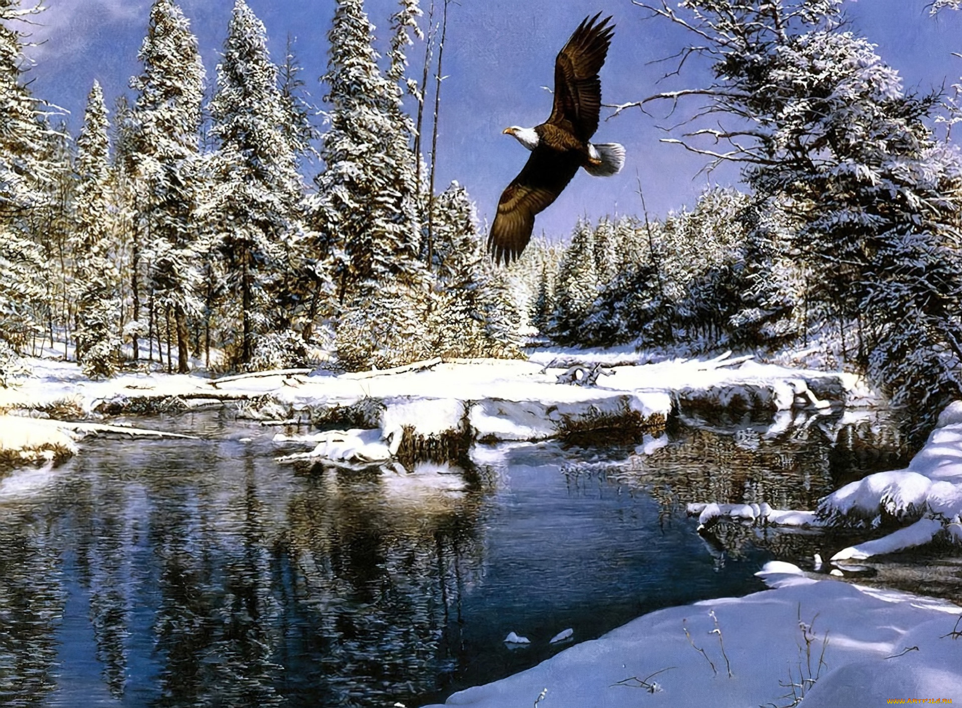 рисованное, животные, , птицы, , орлы, орел, полет, лес, деревья, снег, река